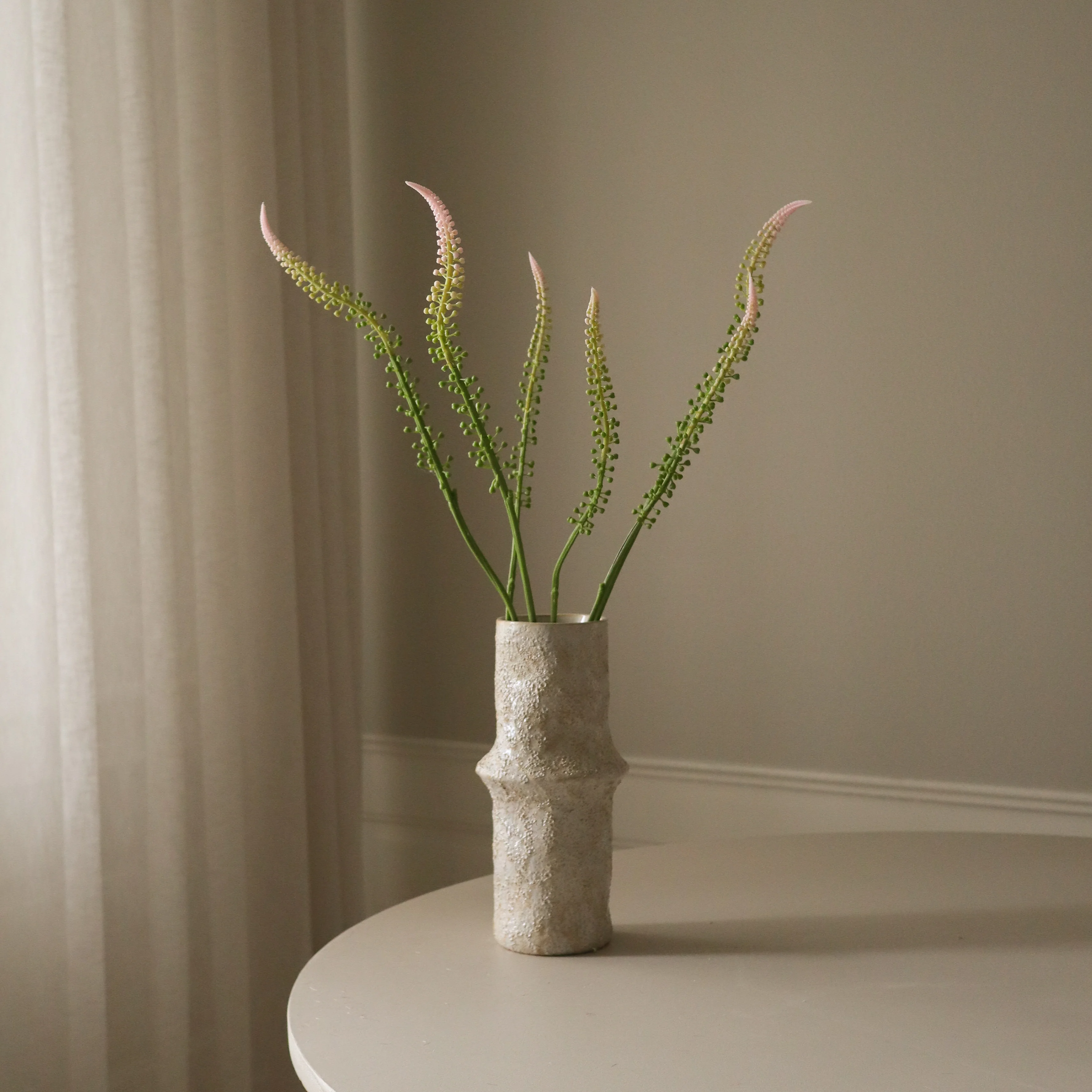 Light Pink Actaea Racemosa "Fairy Candle" - Image 4