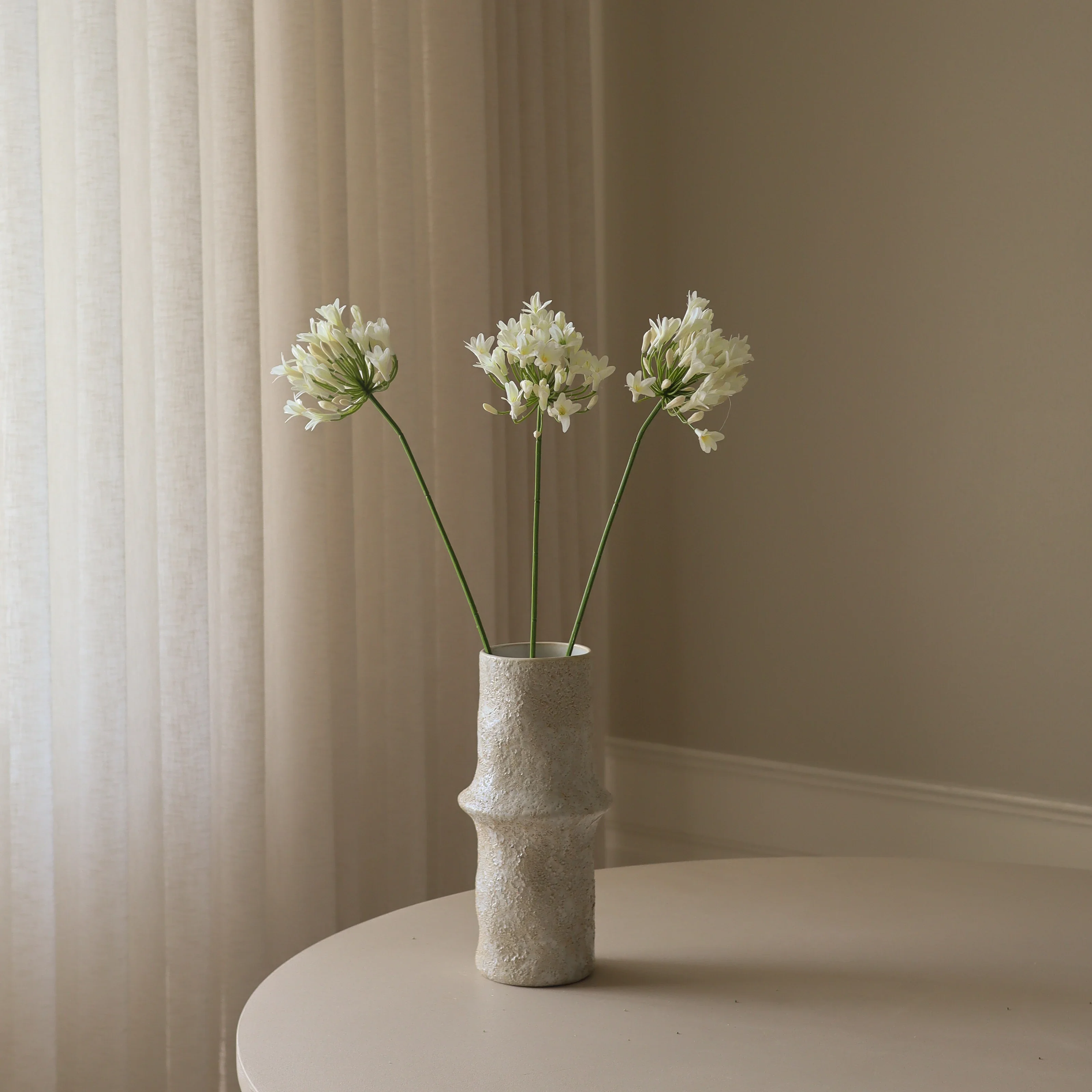 White Agapanthus Flower - Image 4