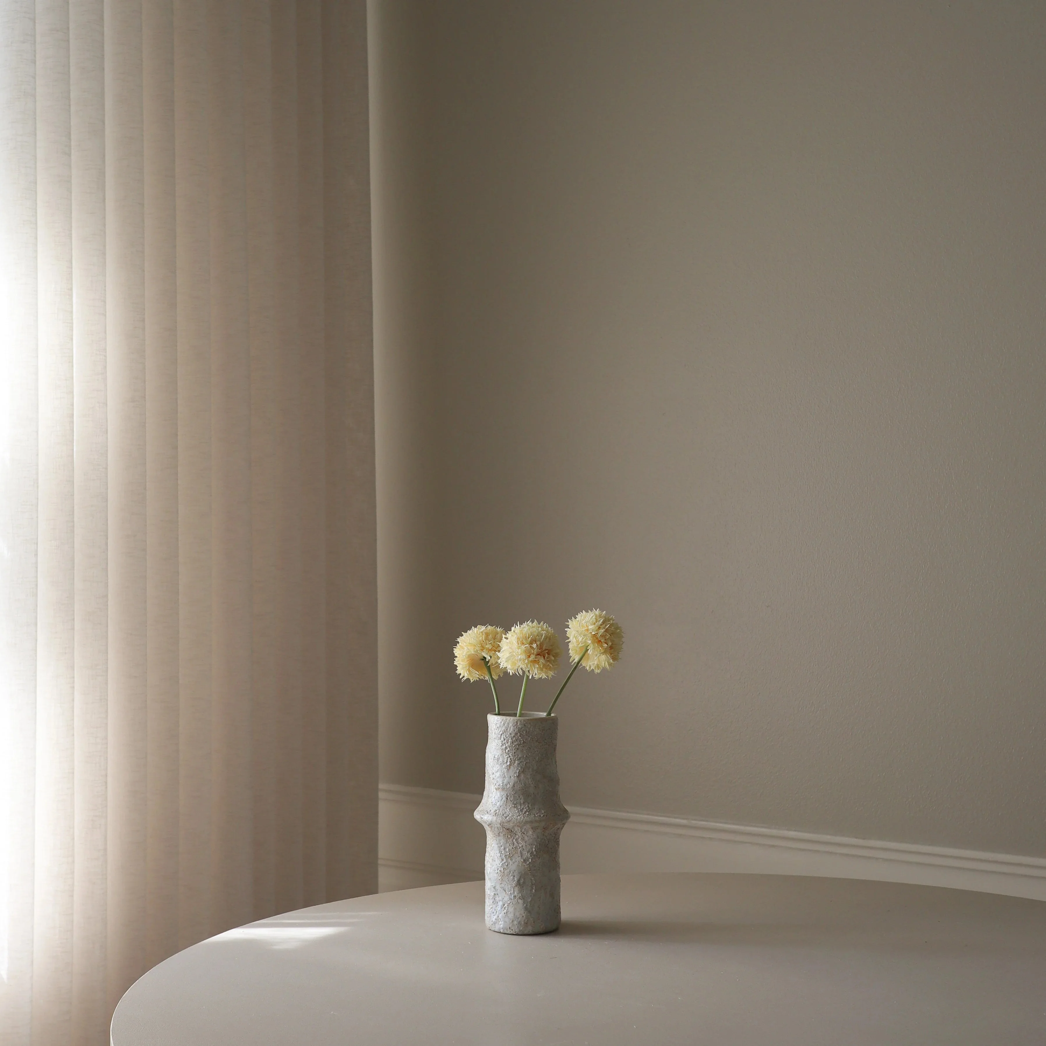 Allium Bulbs - Image 3