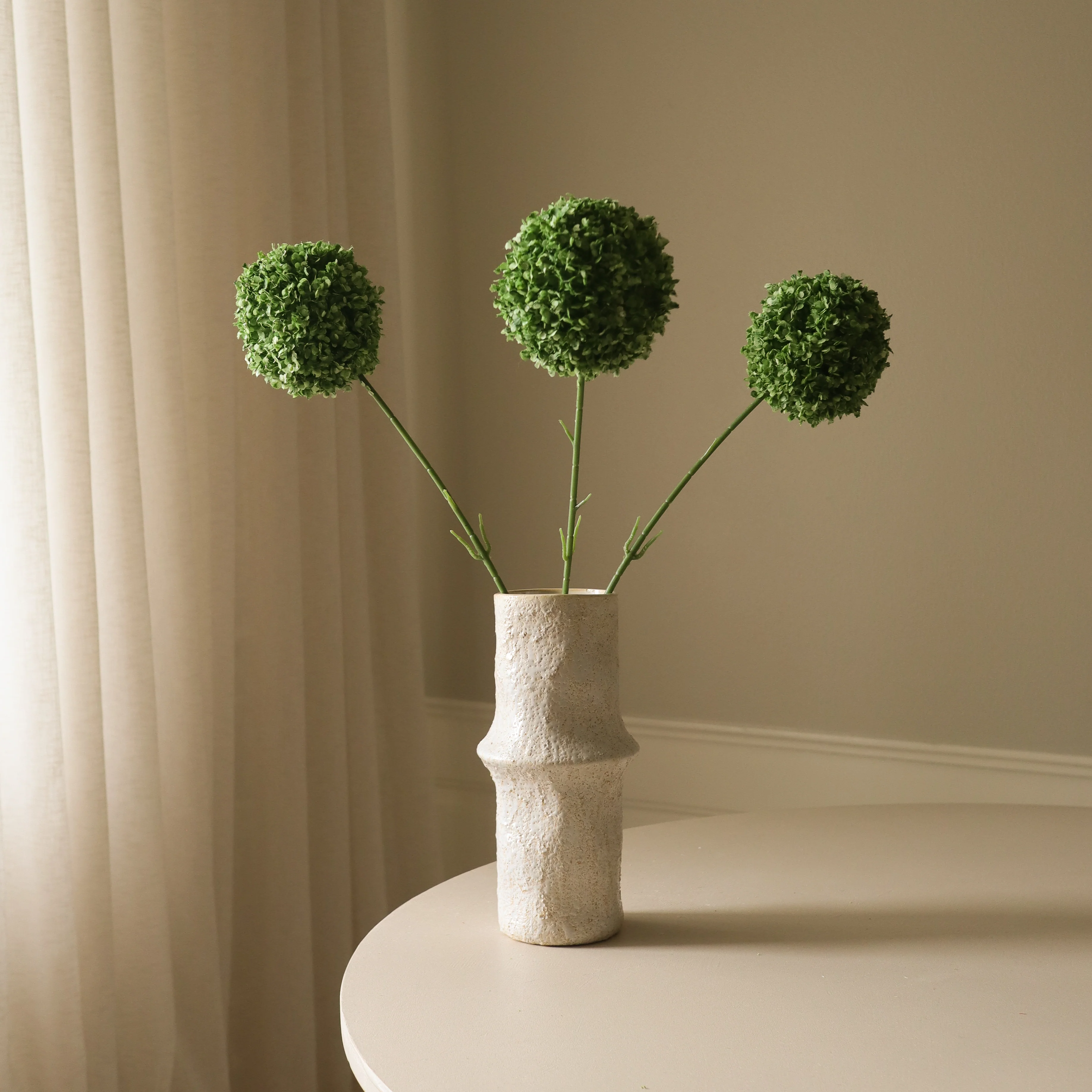 Green Allium Giganteum - Image 3