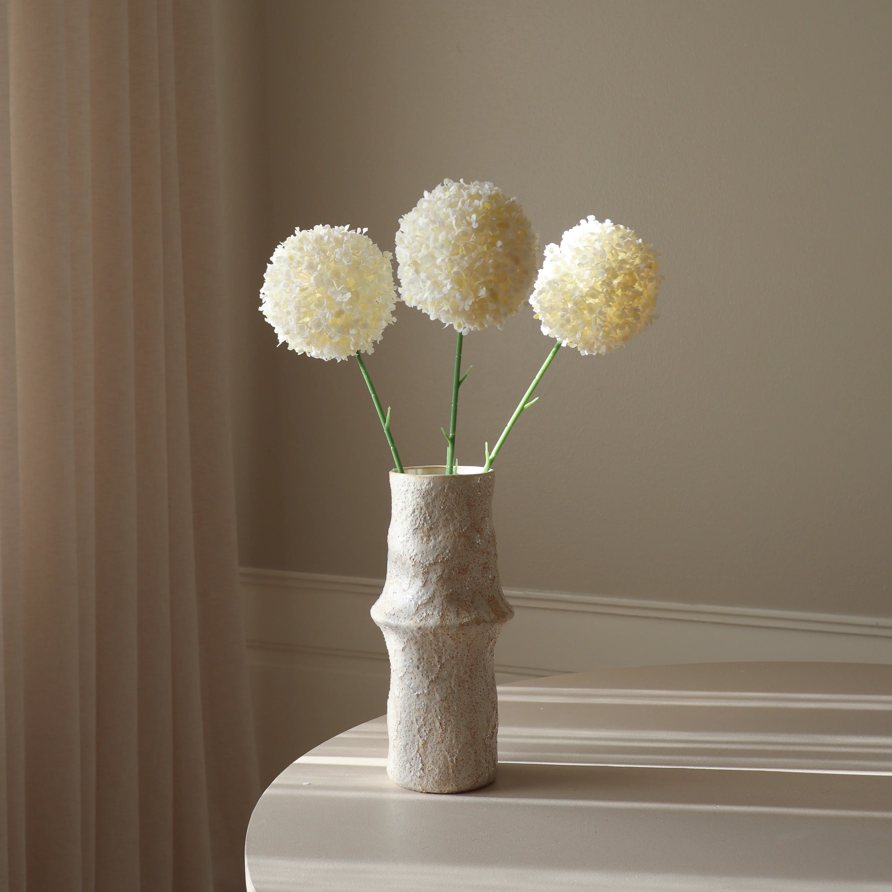 White Allium Giganteum - Image 4