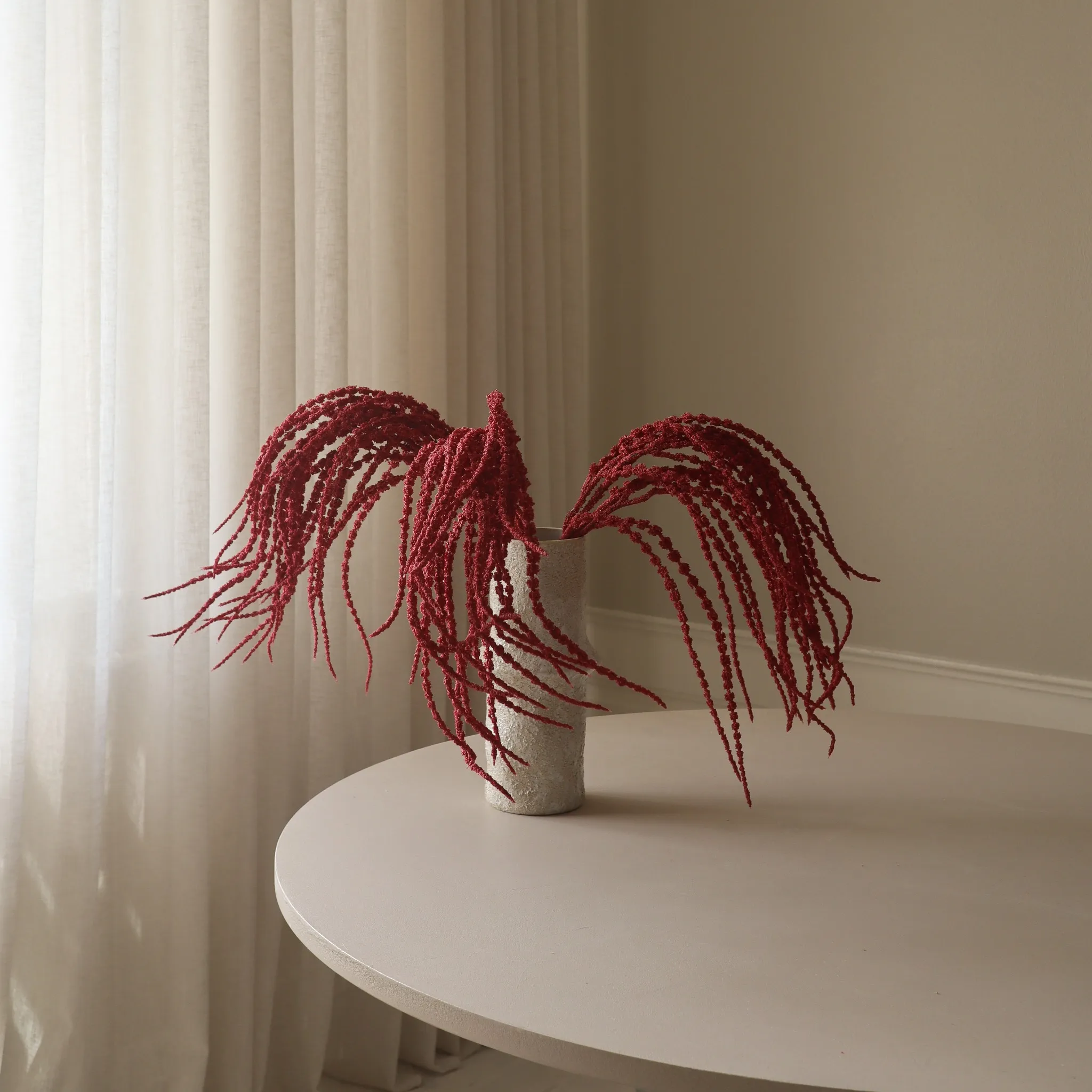 Red Amaranthus Caudatus "Dreadlocks" Flower - Image 4