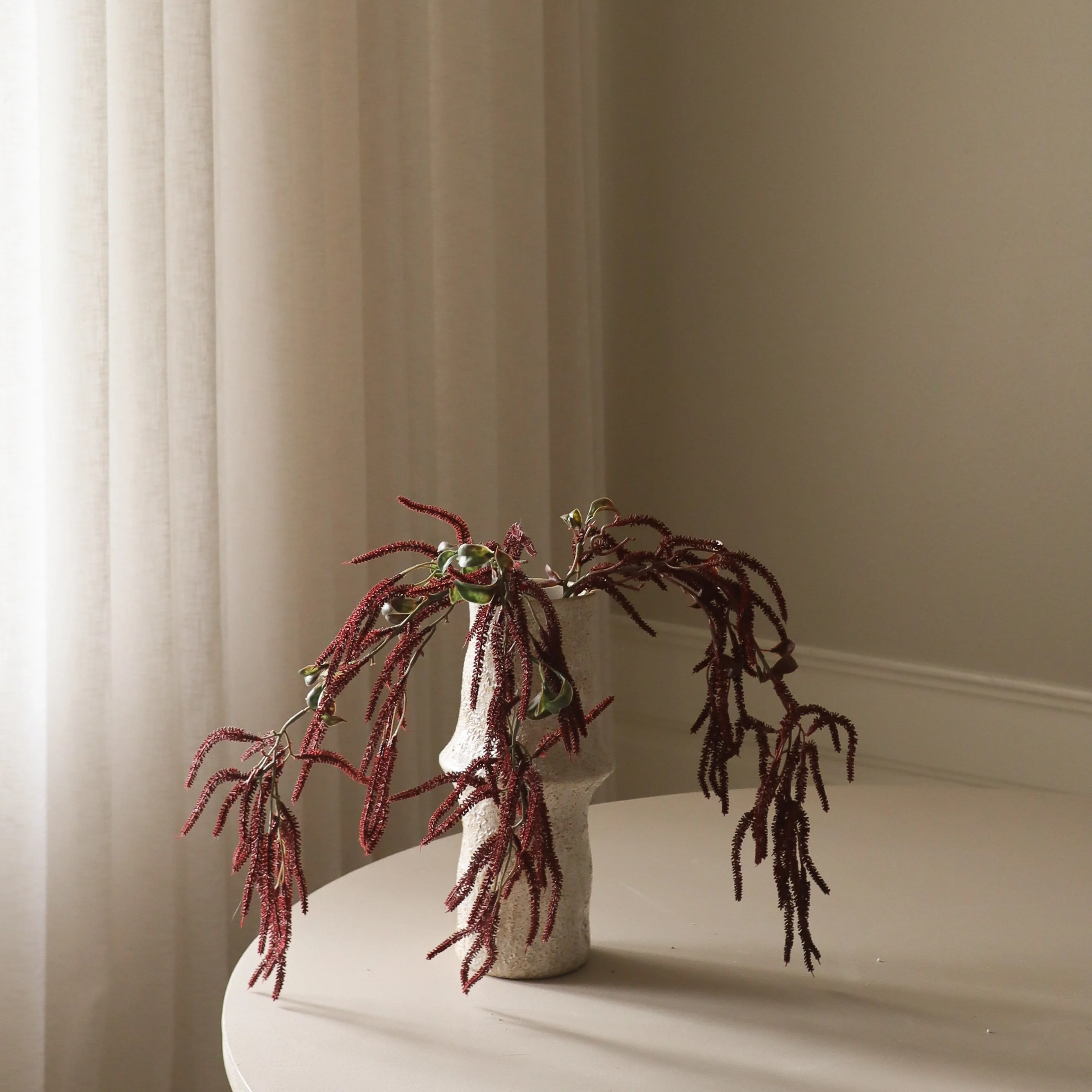 Dark Red Amaranthus Cruentus Flower - Image 4
