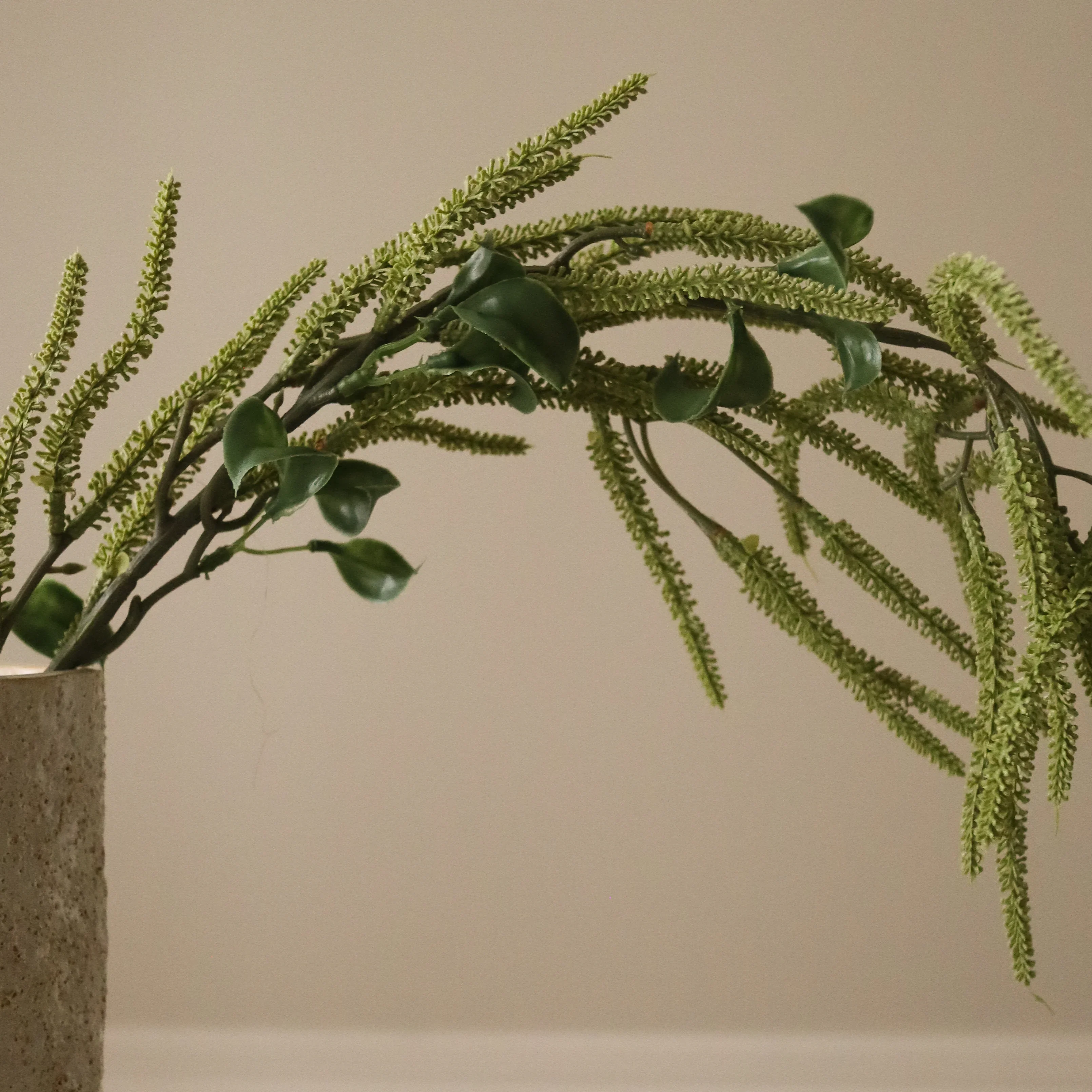 Green Amaranthus Cruentus Flower - Image 3