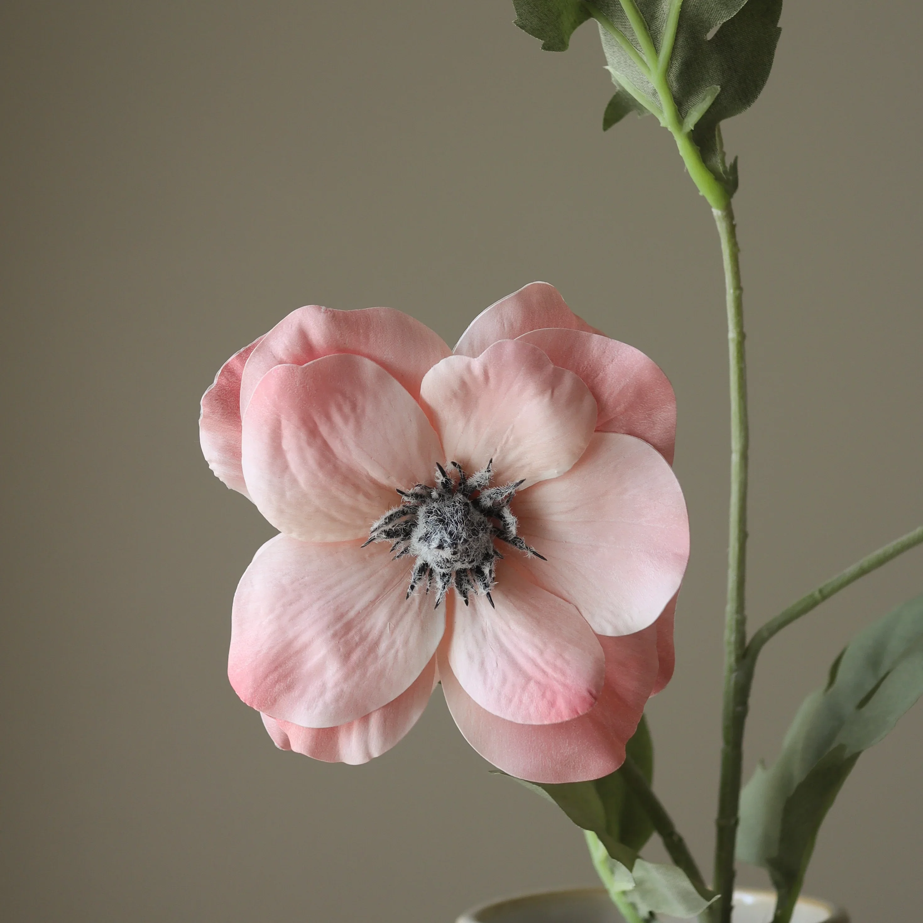 Pink Anemone Flower - Image 3