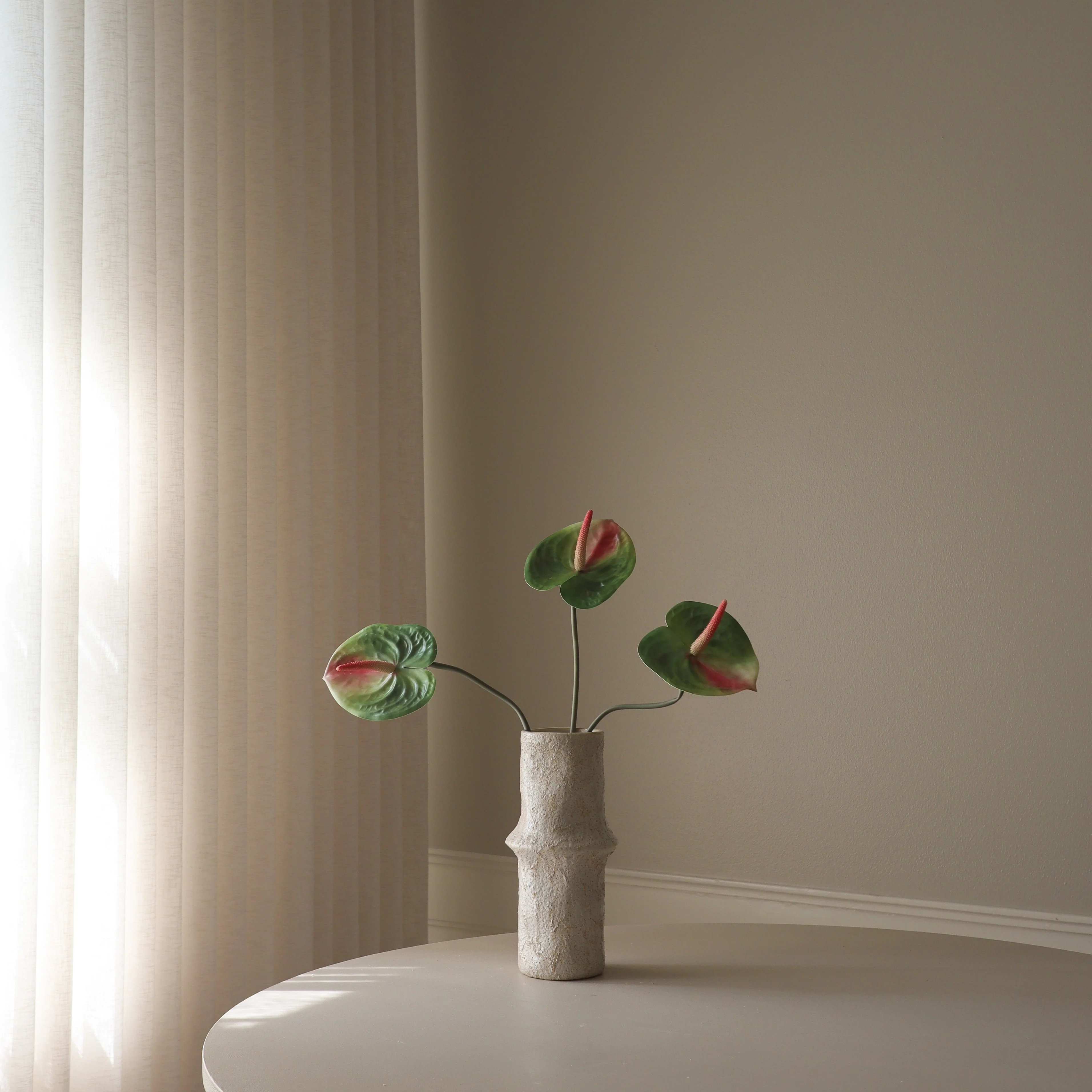 Green Anthurium Flower - Image 3