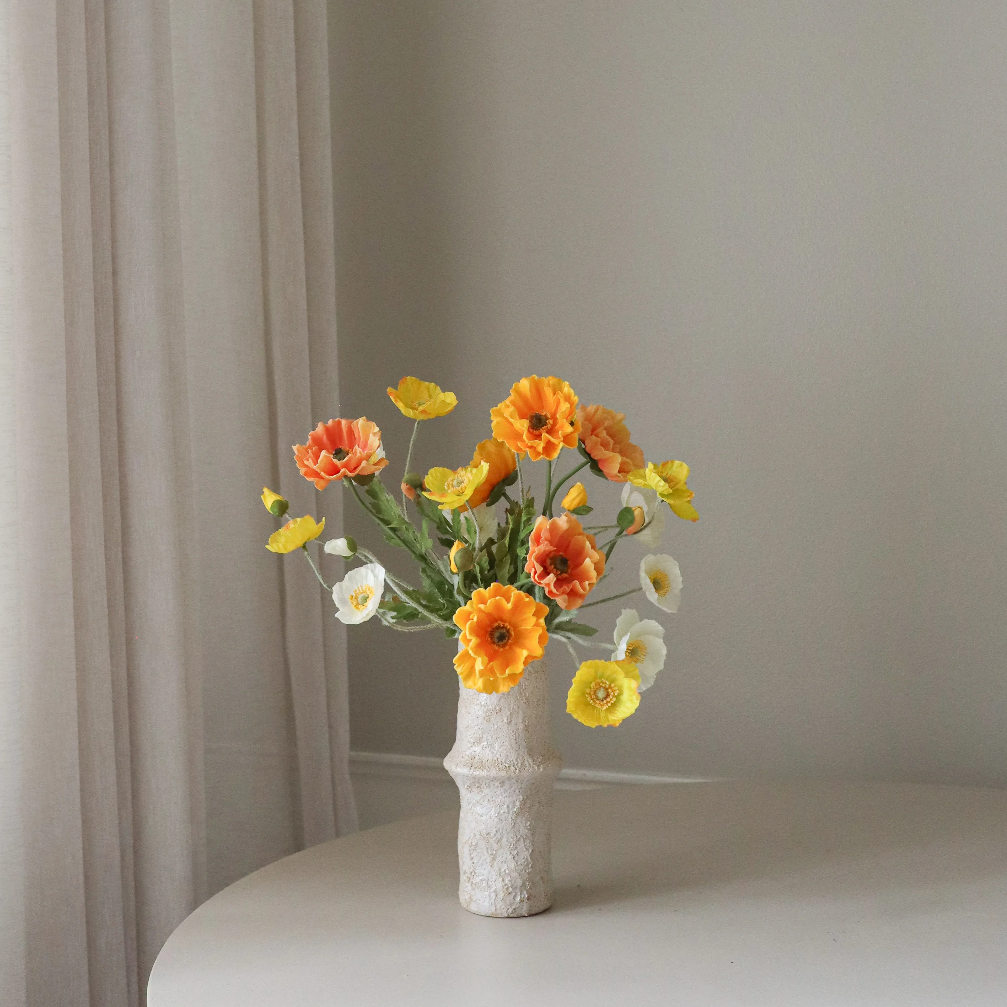 Apricot - Image 3