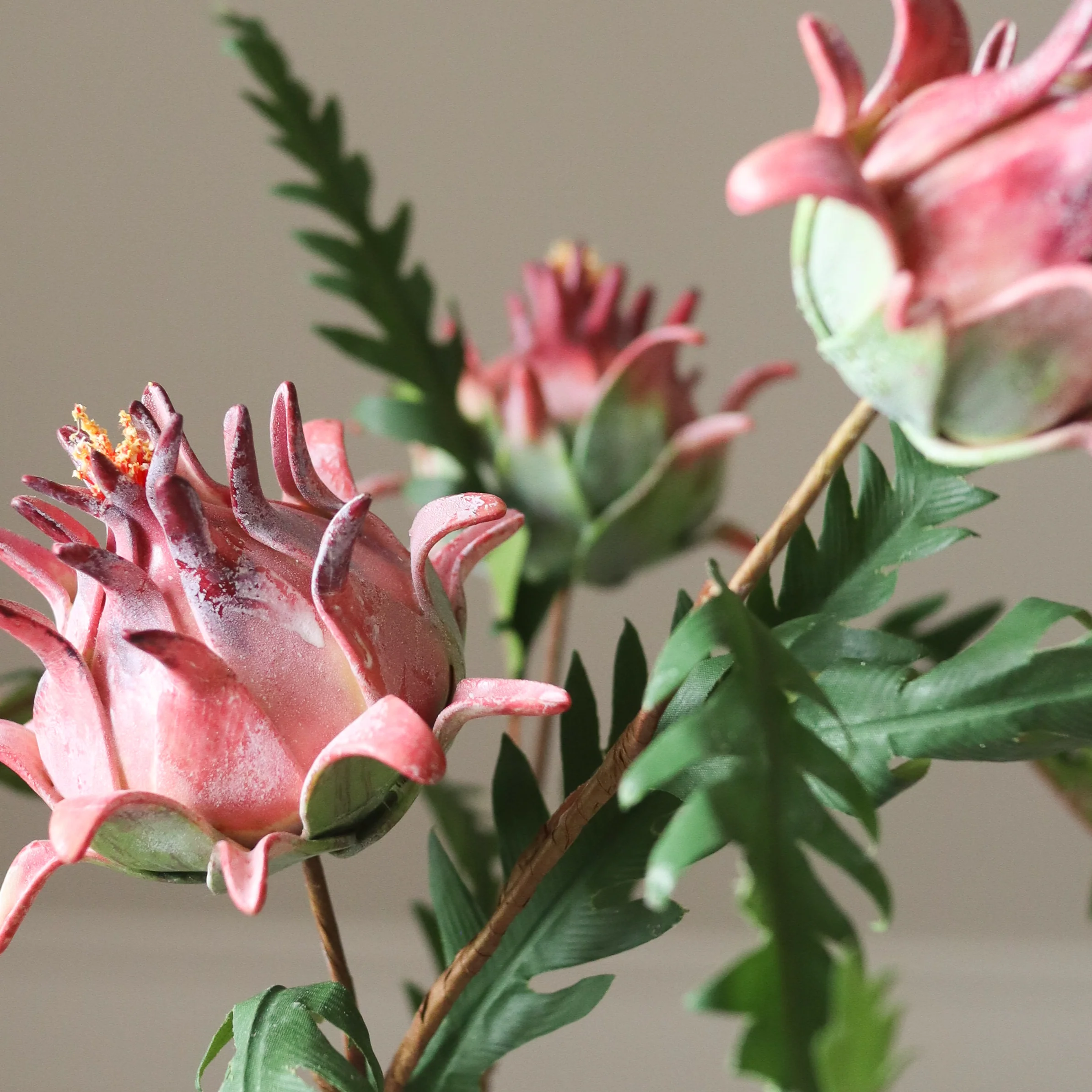 Red Artichoke Branch - Image 3