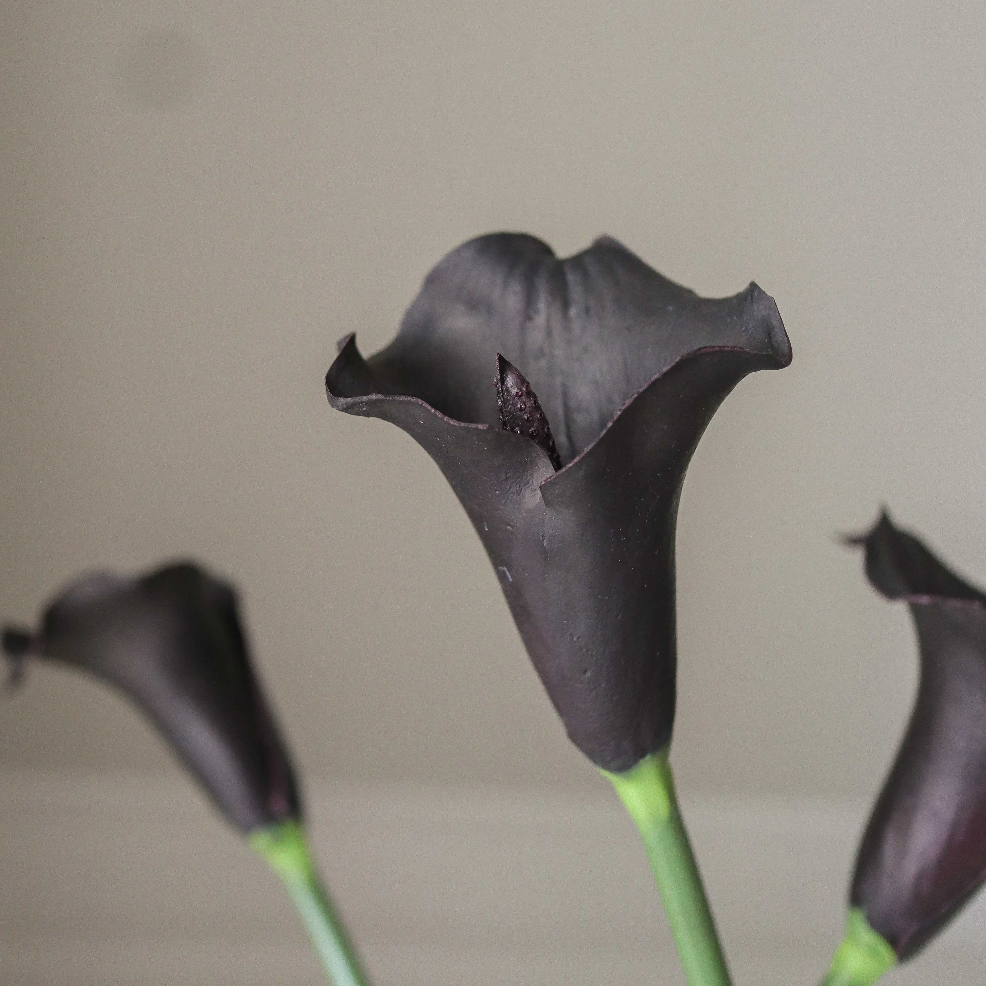Black Calla Lily Bouquet - Image 4