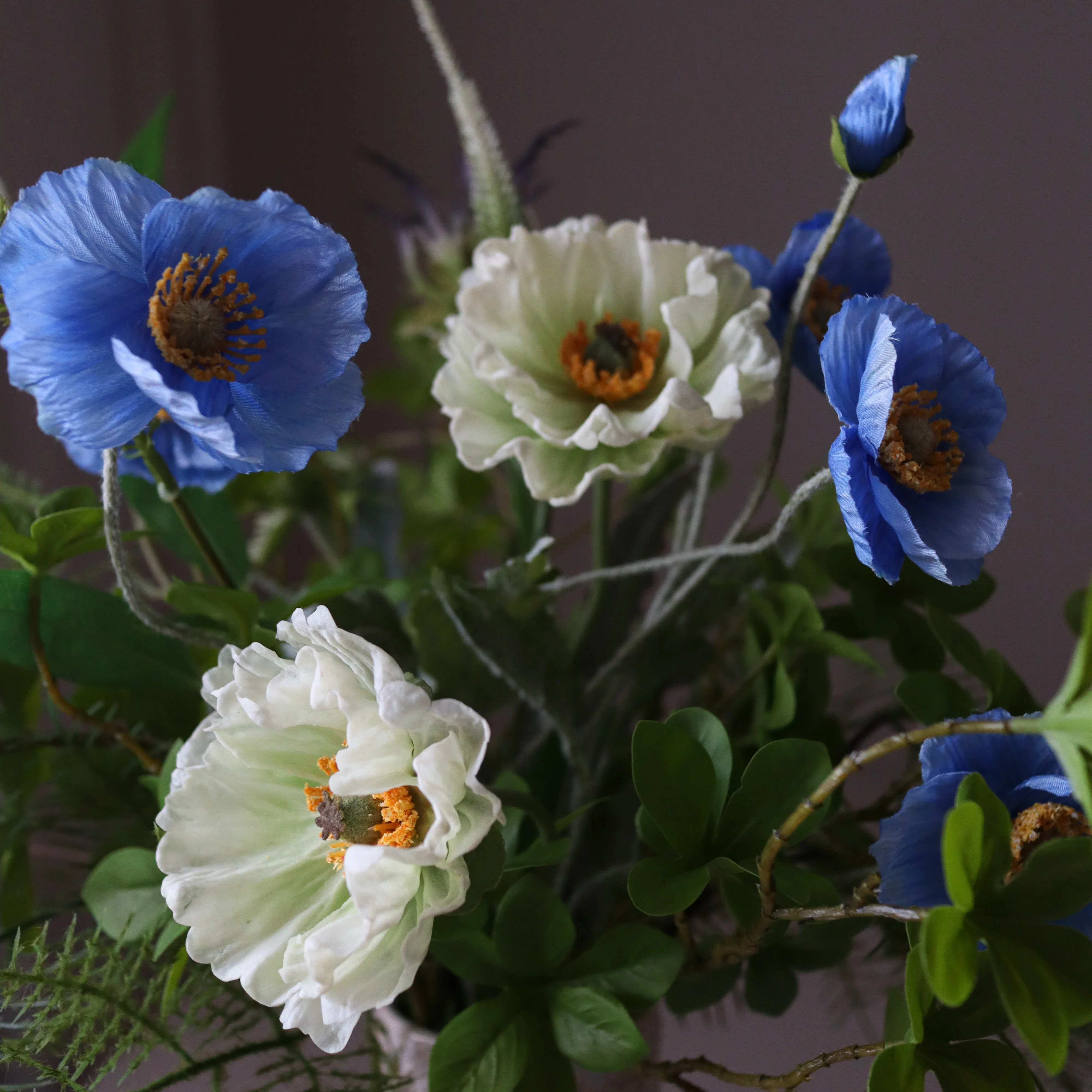 Blue Poise - Image 3