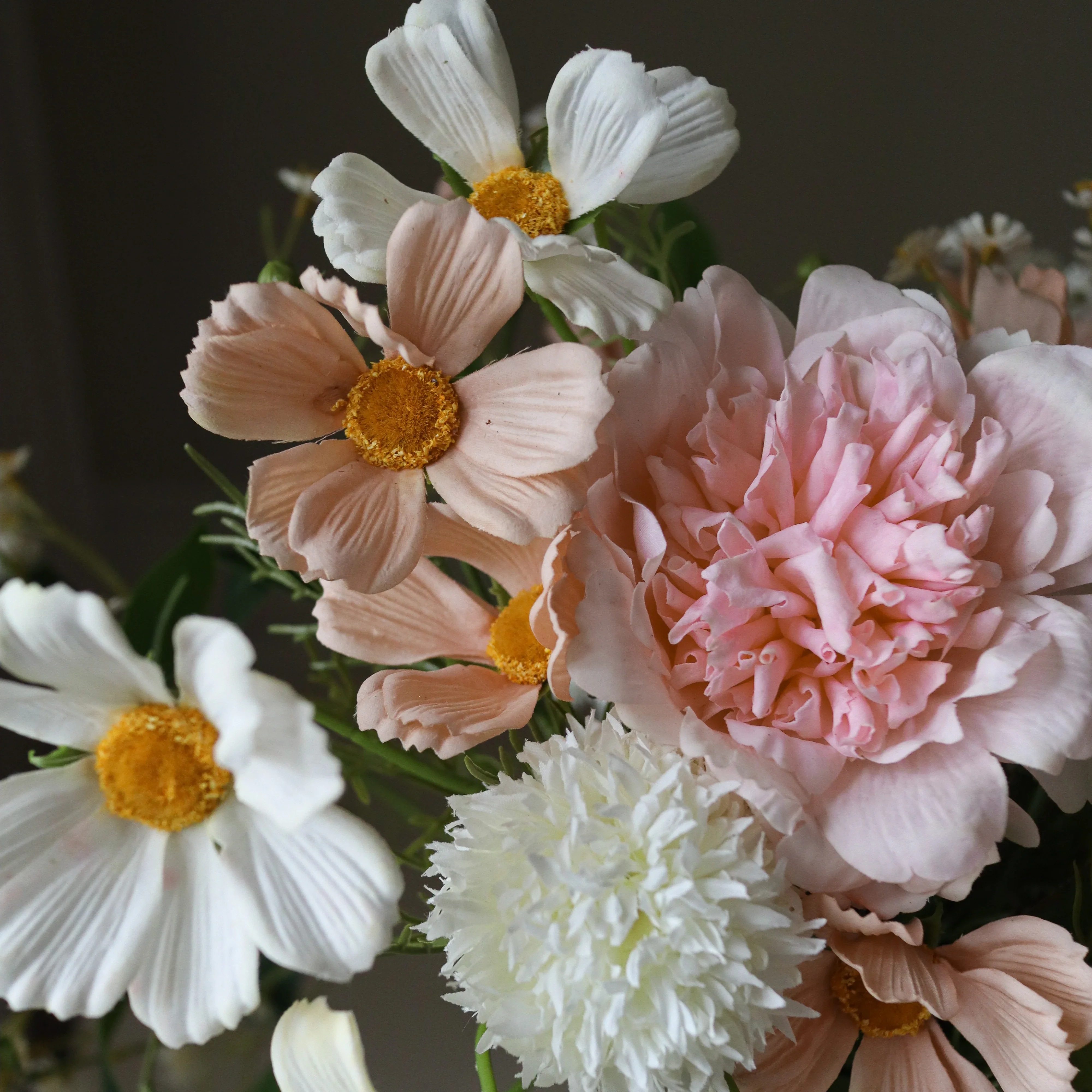 Blush in Motion - Image 4