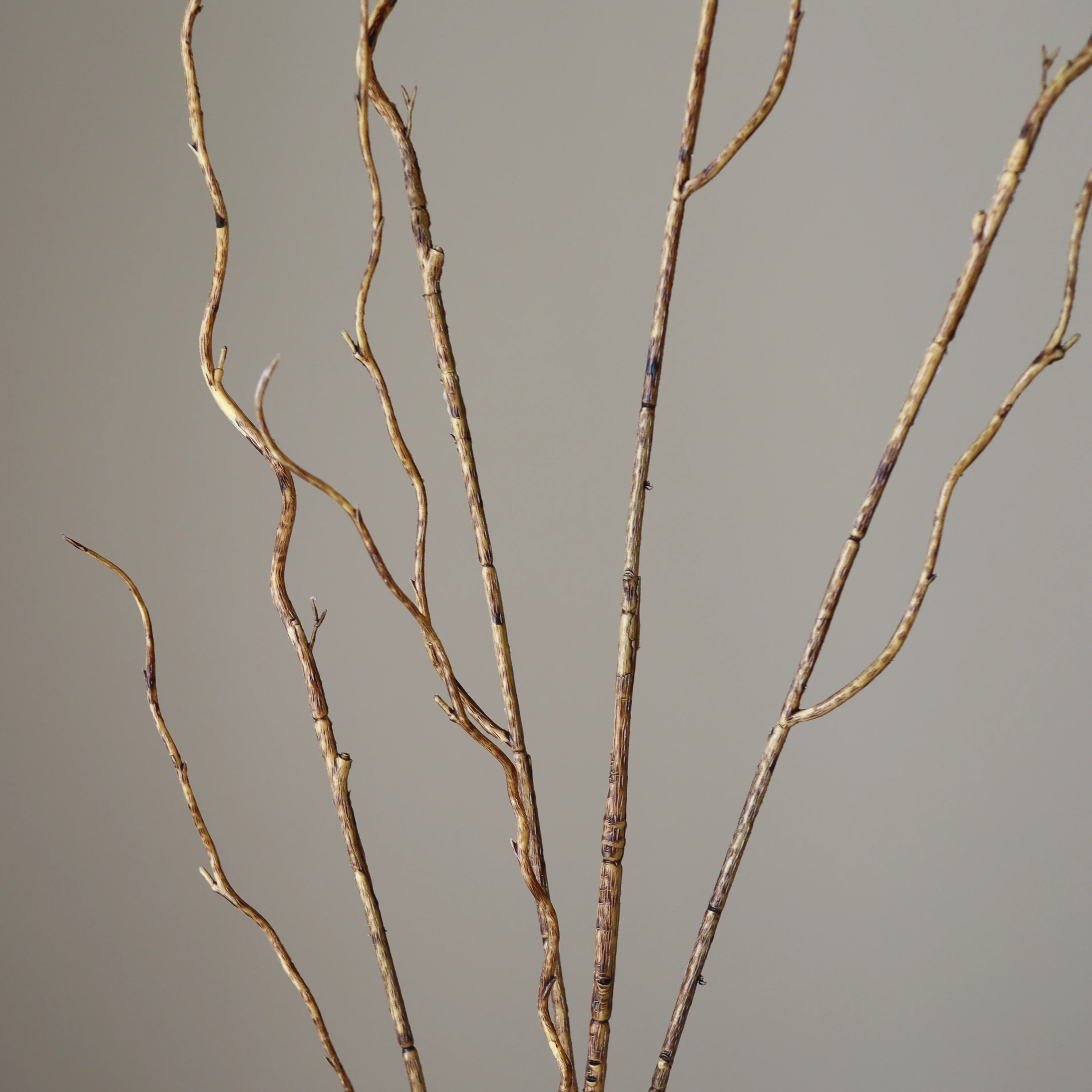 Brown Curly Willow Branch - Image 3
