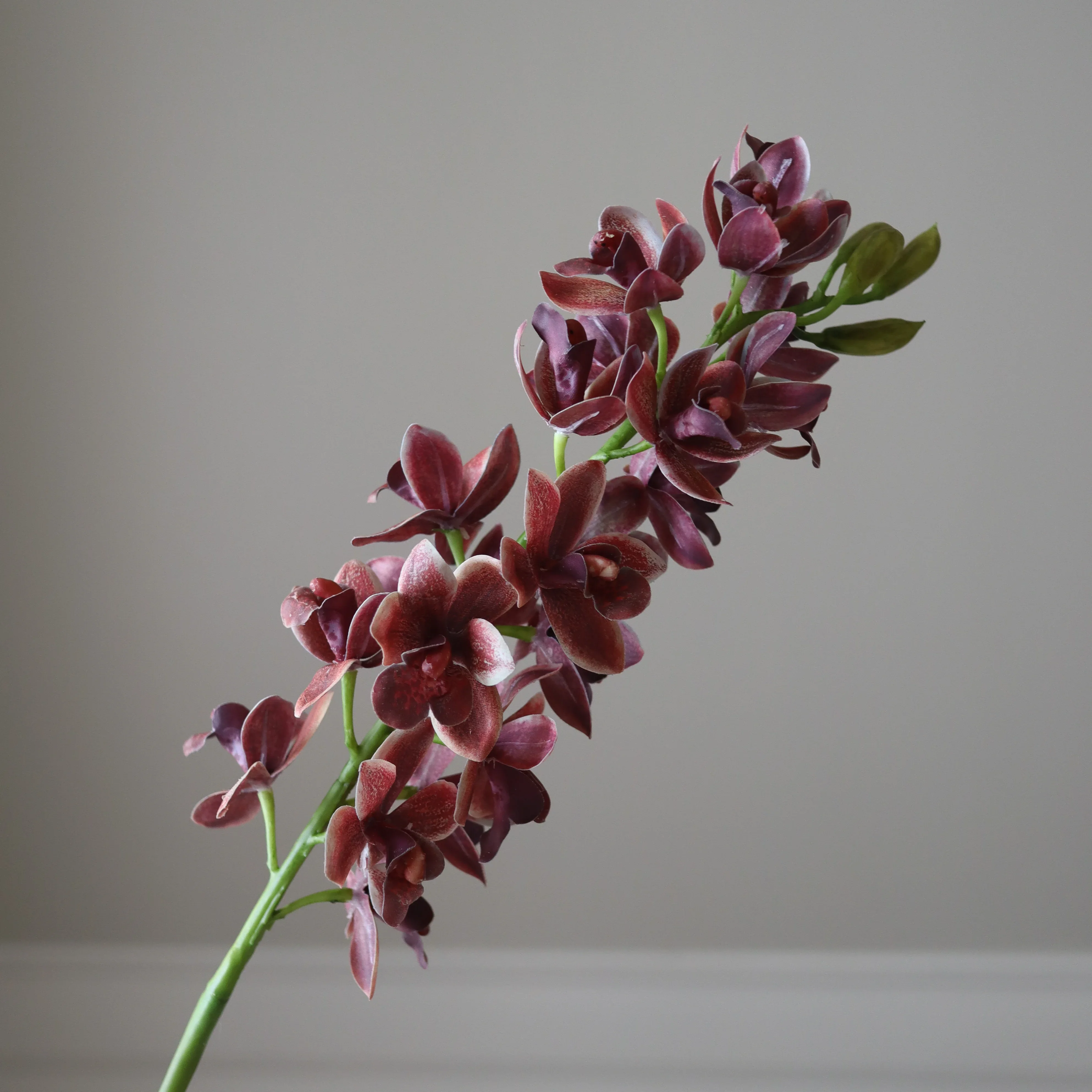 Burgundy Cymbidium Orchid Flower - Image 3