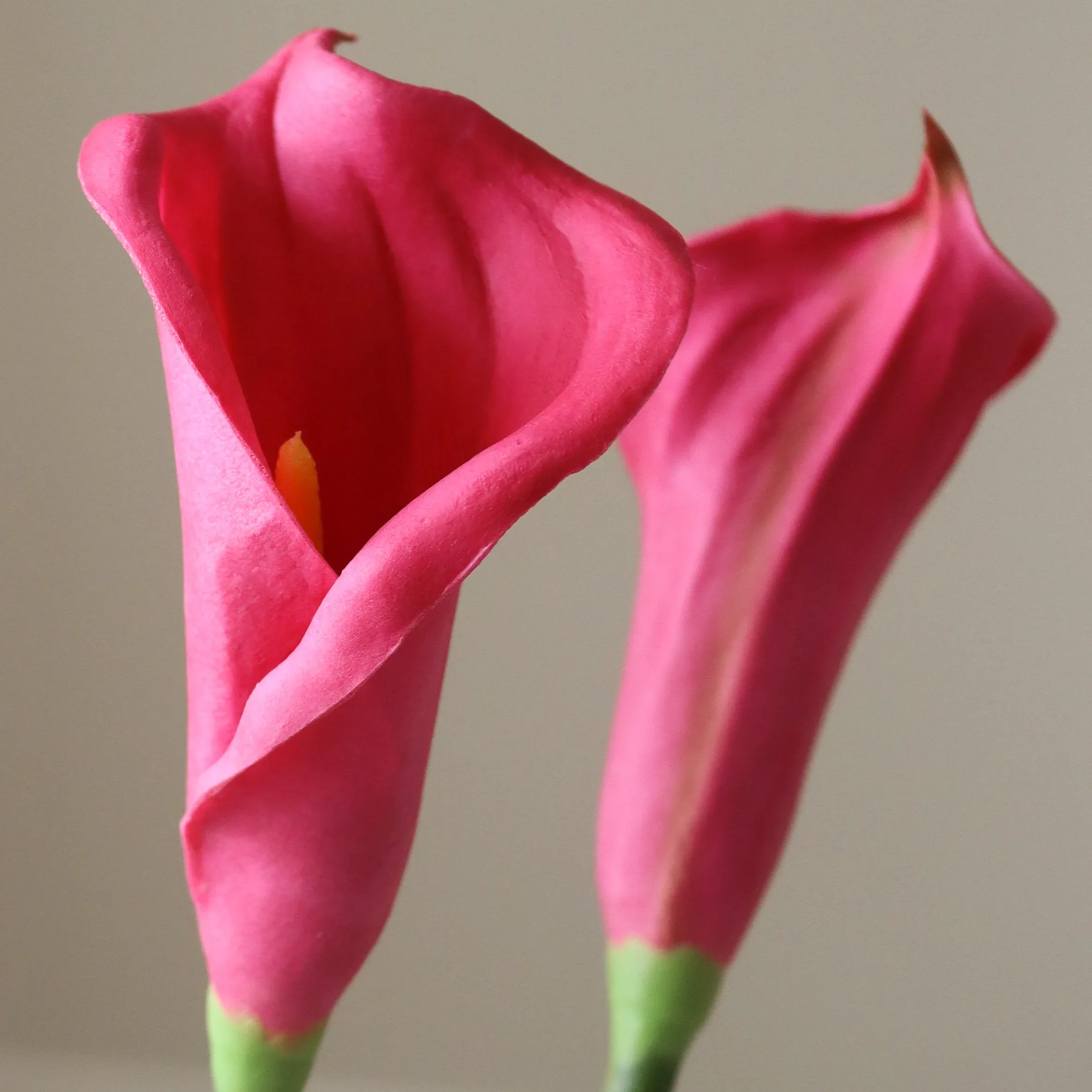Dark Pink Calla Lily Flower - Image 3