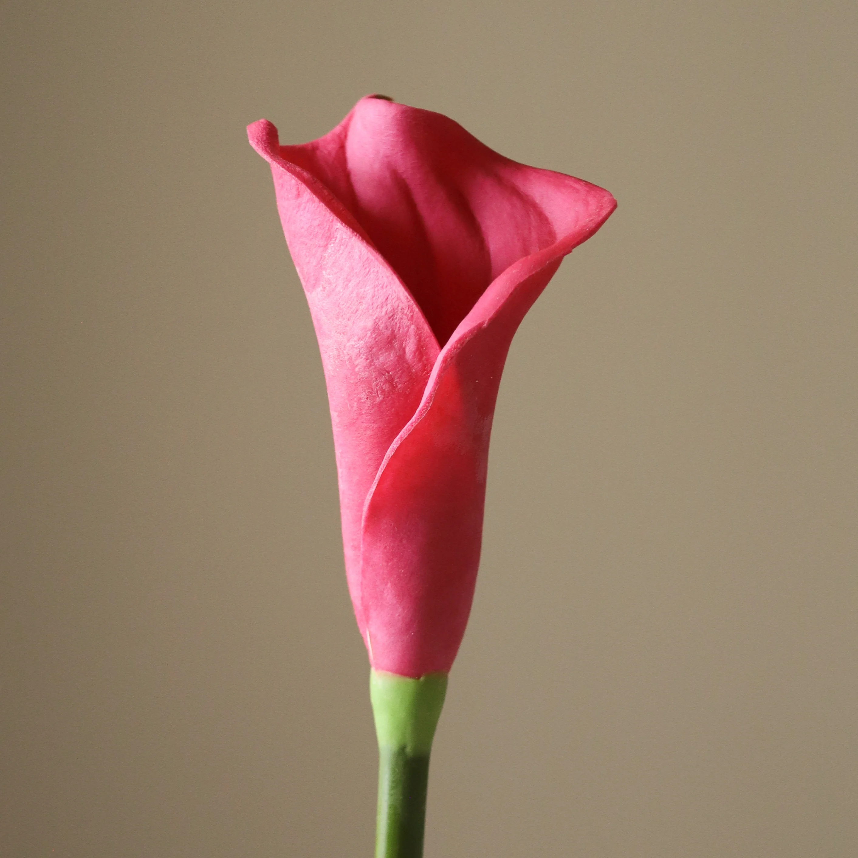 Dark Pink Calla Lily Flower - Image 3