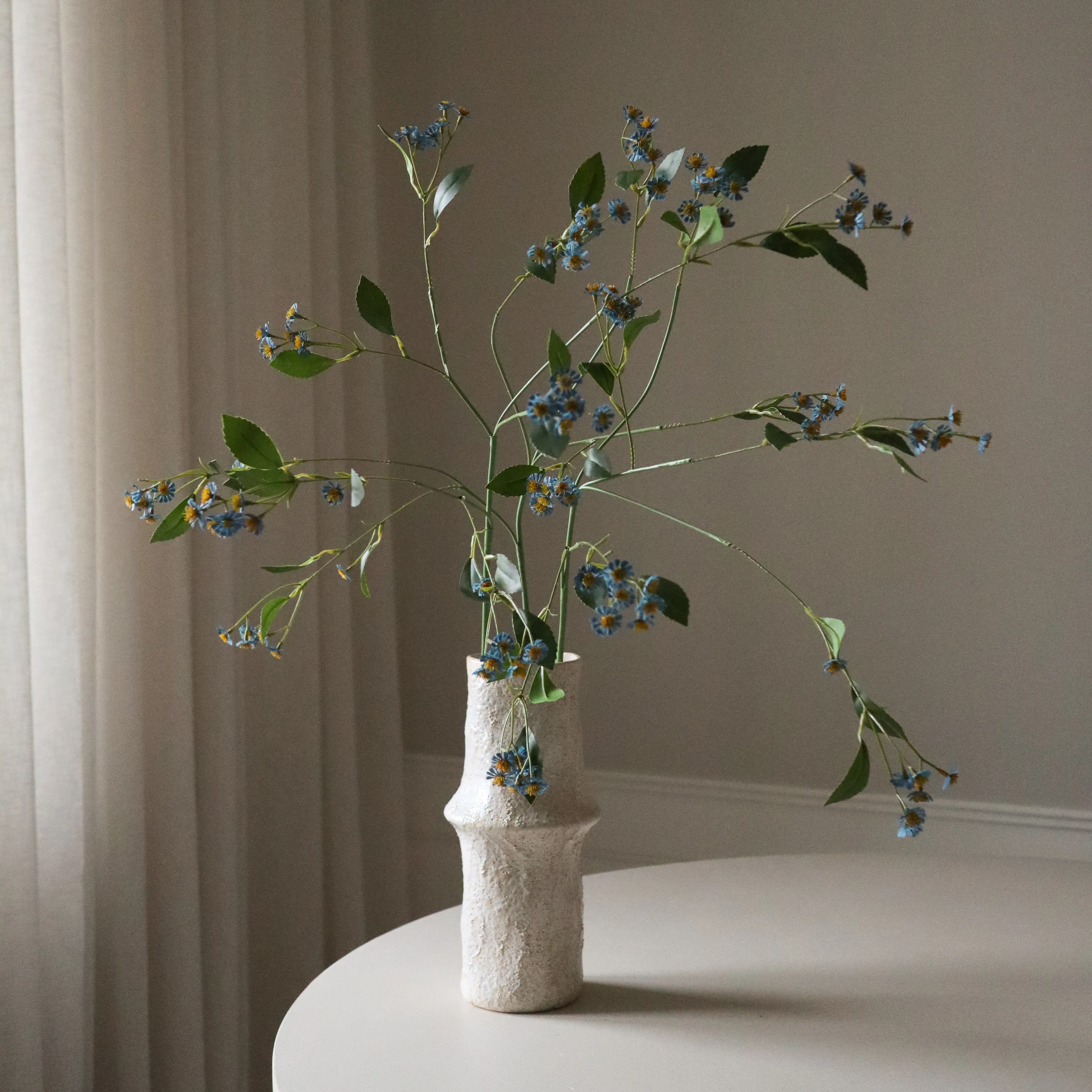 Blue Chamomile Daisy Flowers - Image 4
