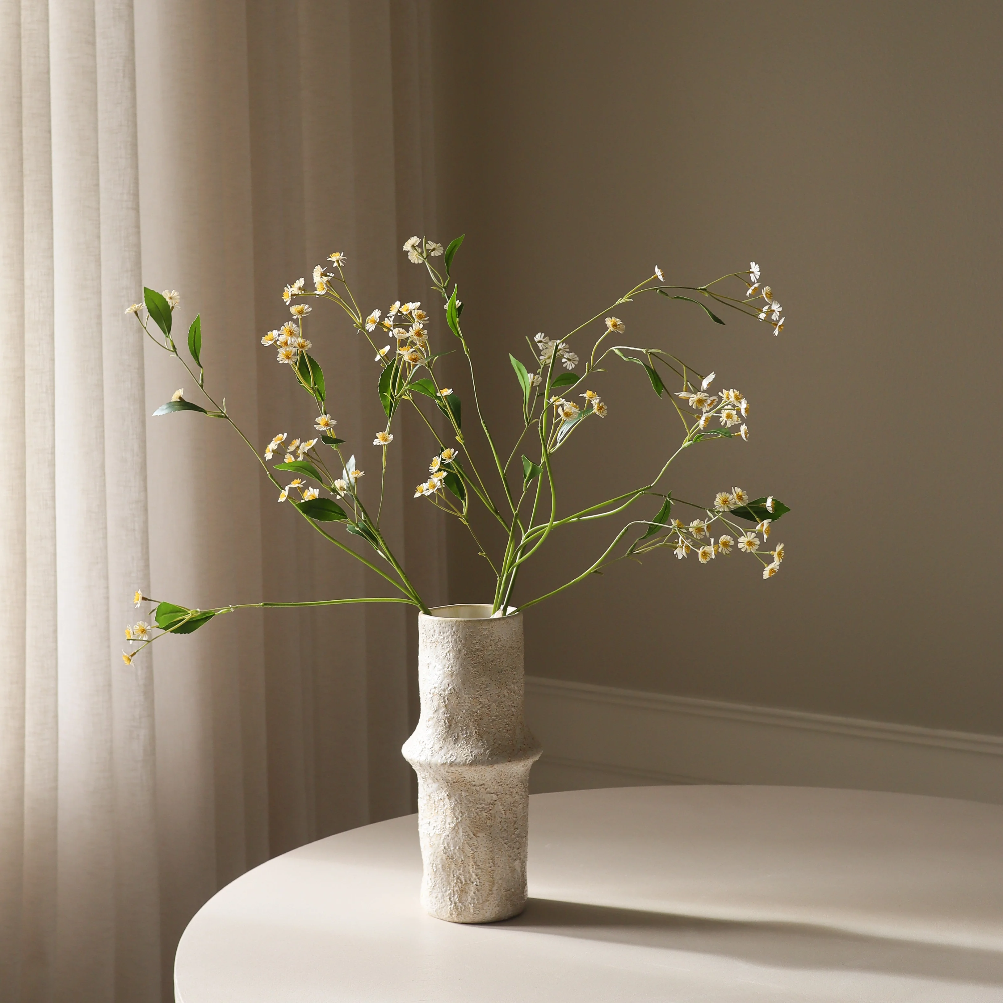 White Chamomile Daisy Flowers - Image 4