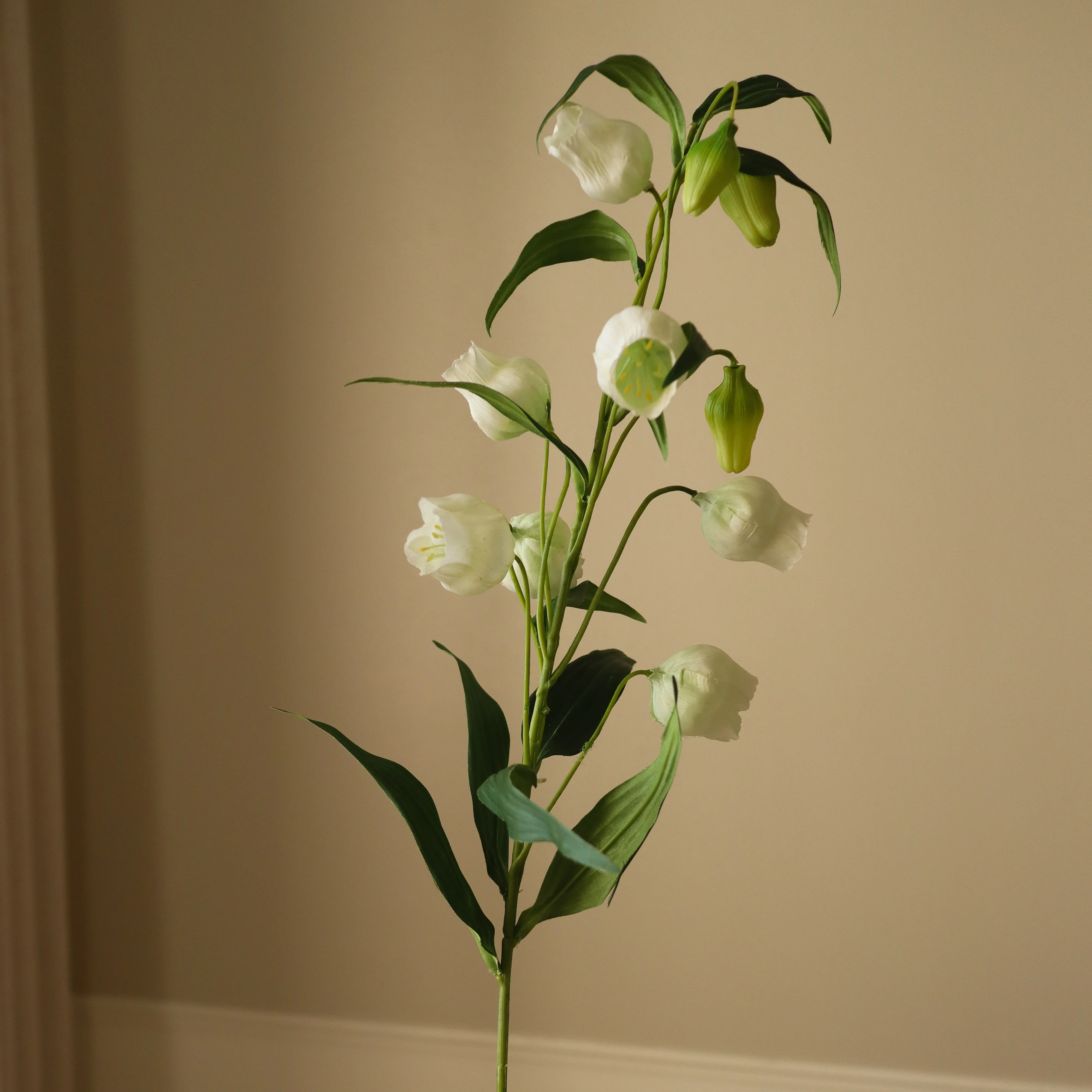 White Chinese Lantern Lily Flowers - Image 3