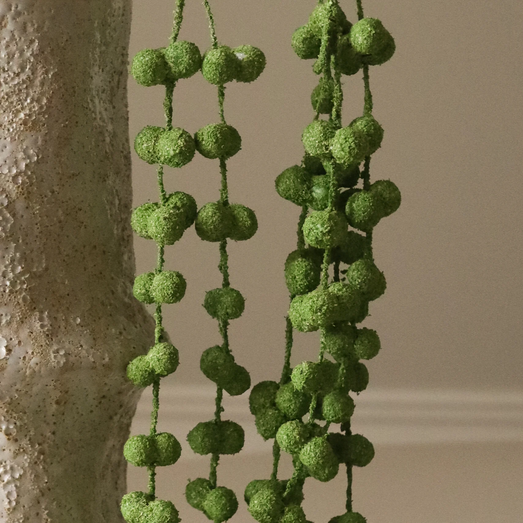 Green Coral Fountain Amaranthus Flower - Image 3