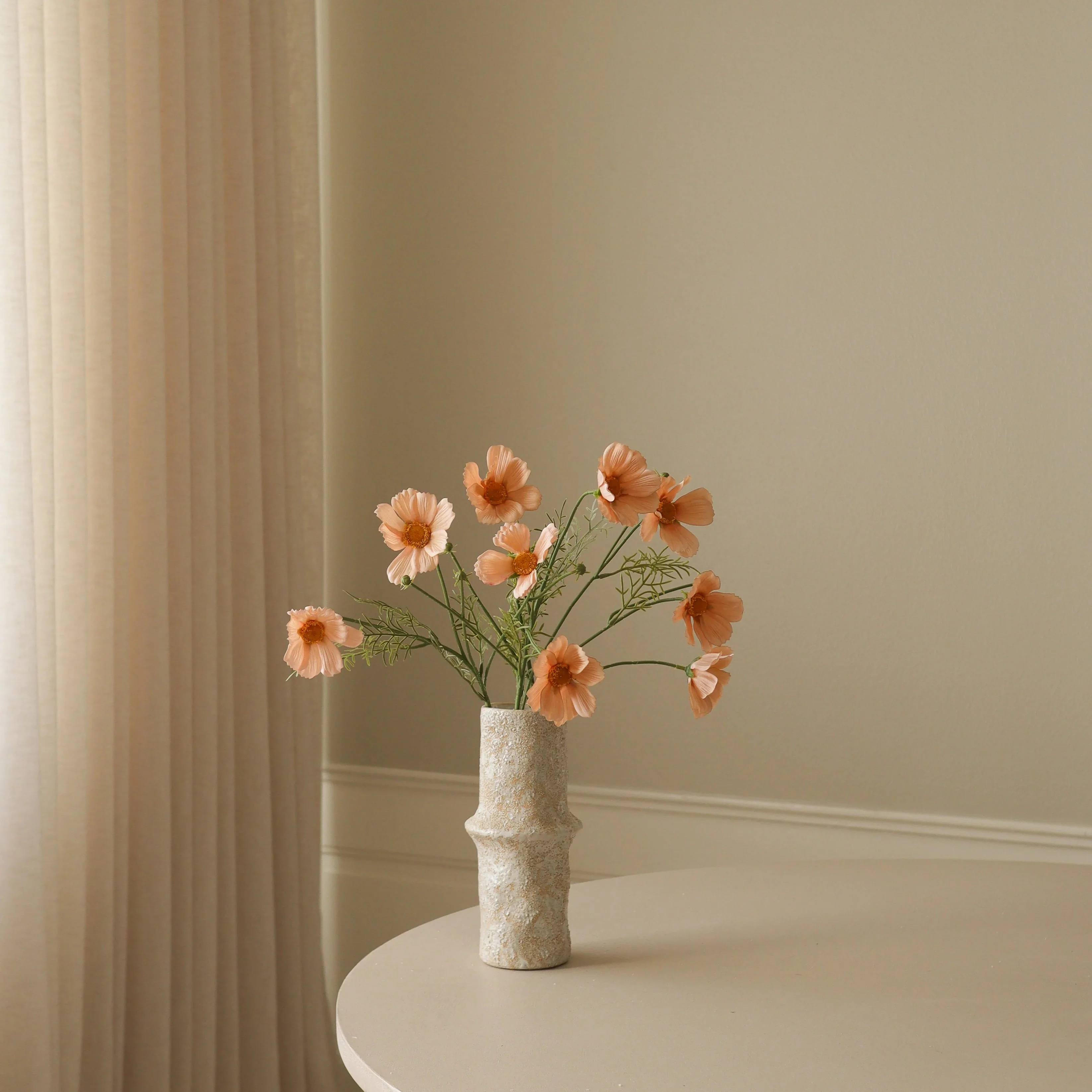 Champagne Cosmo Daisy Flower - Image 4