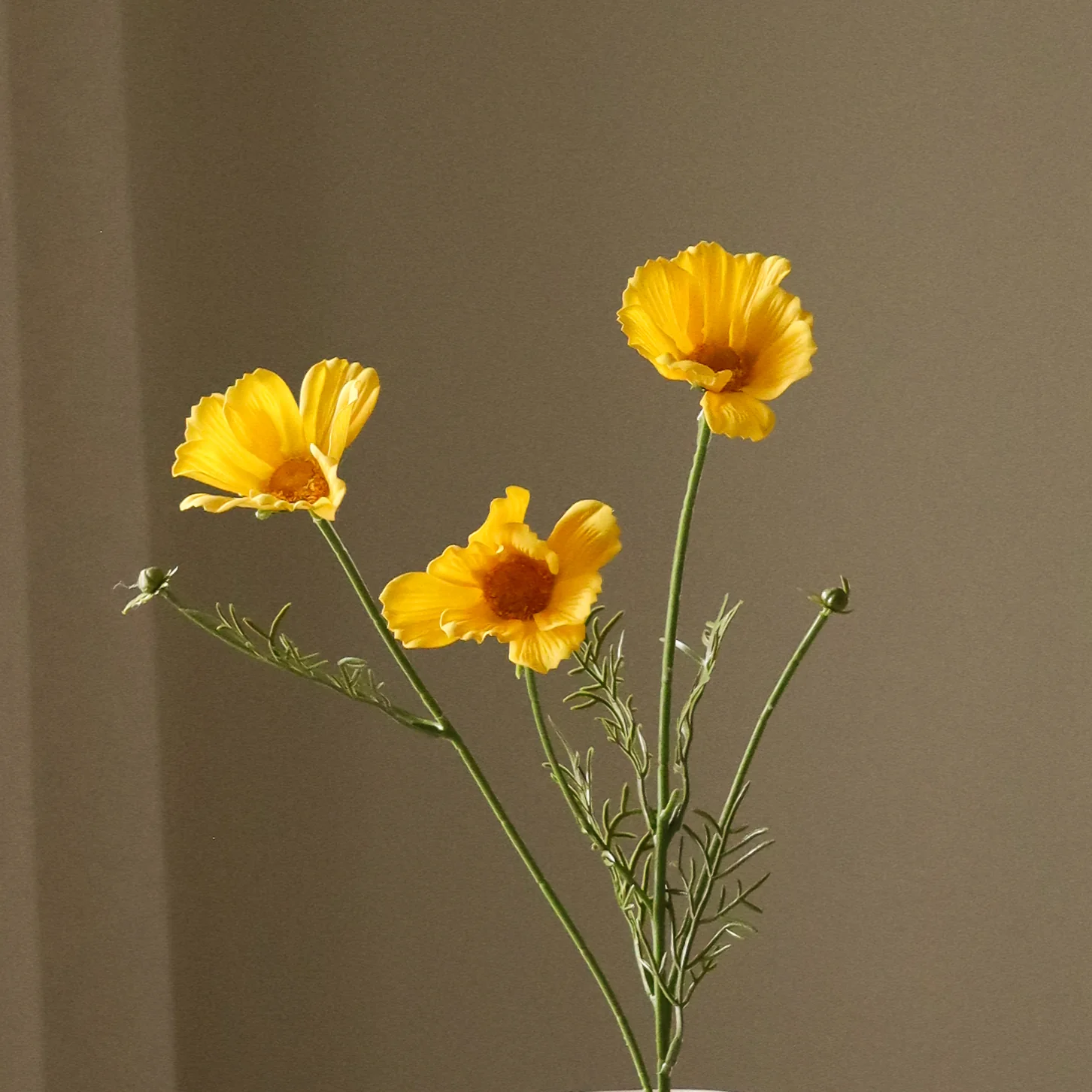 Yellow Cosmo Daisy Flower - Image 3