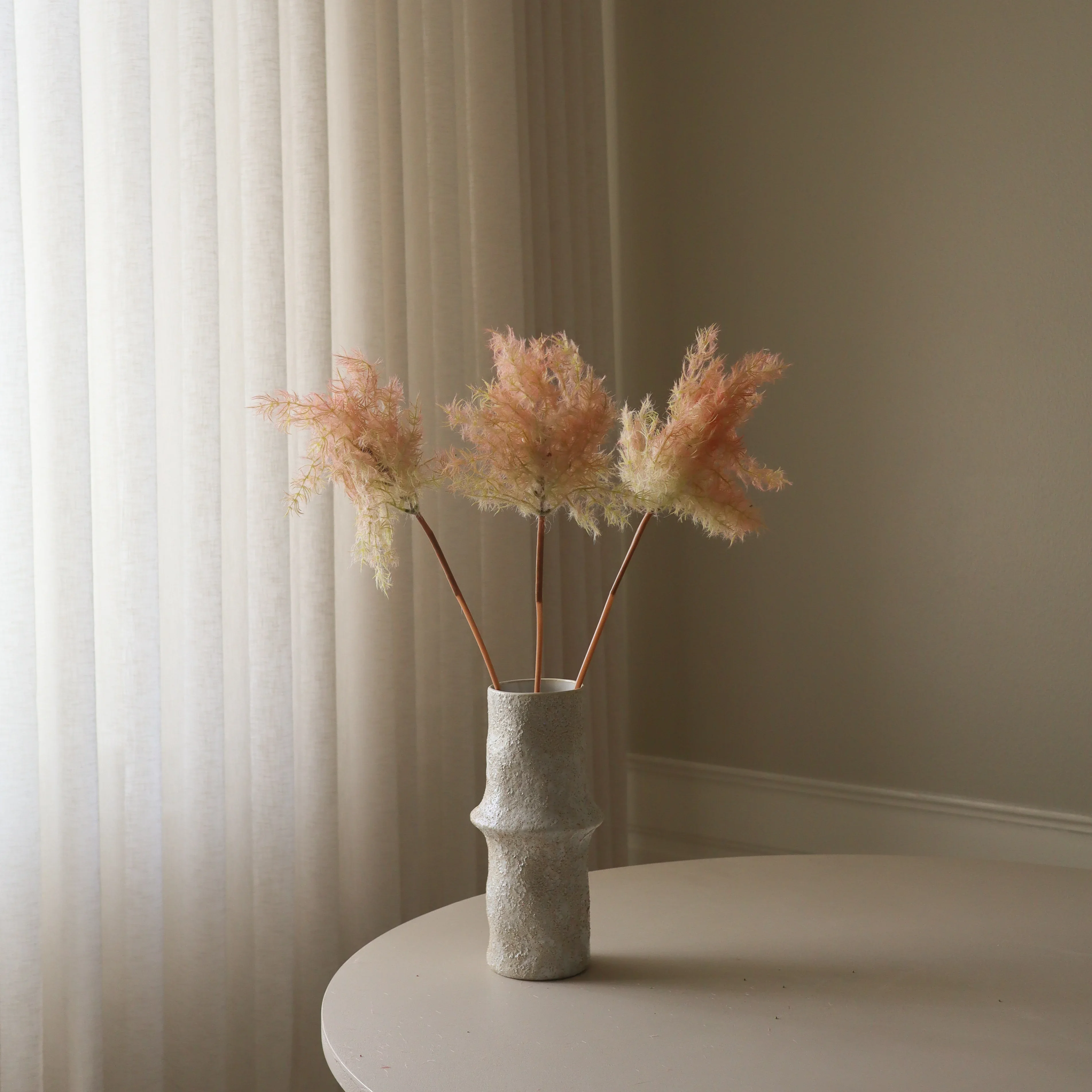 Pink Cotinus Coggygria Young Lady Flower - Image 4