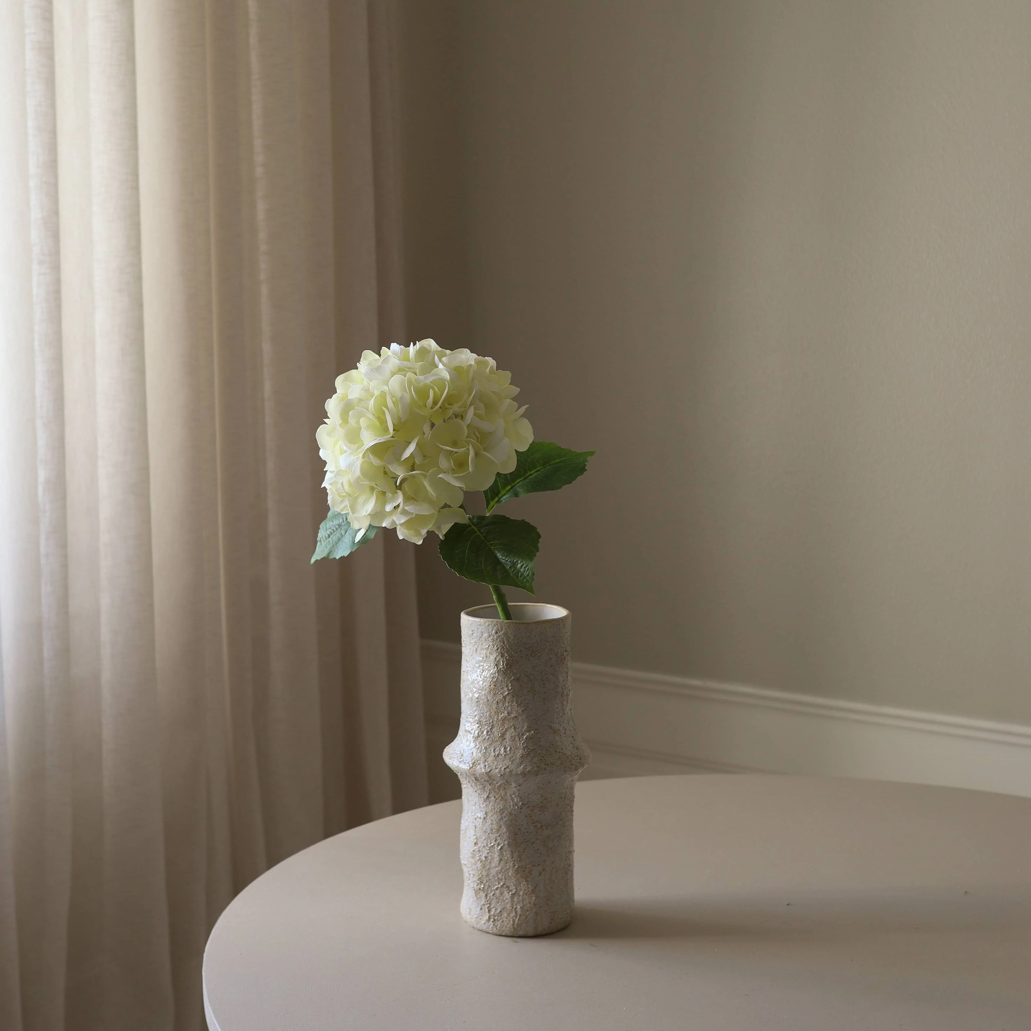Cream Hydrangea Flower