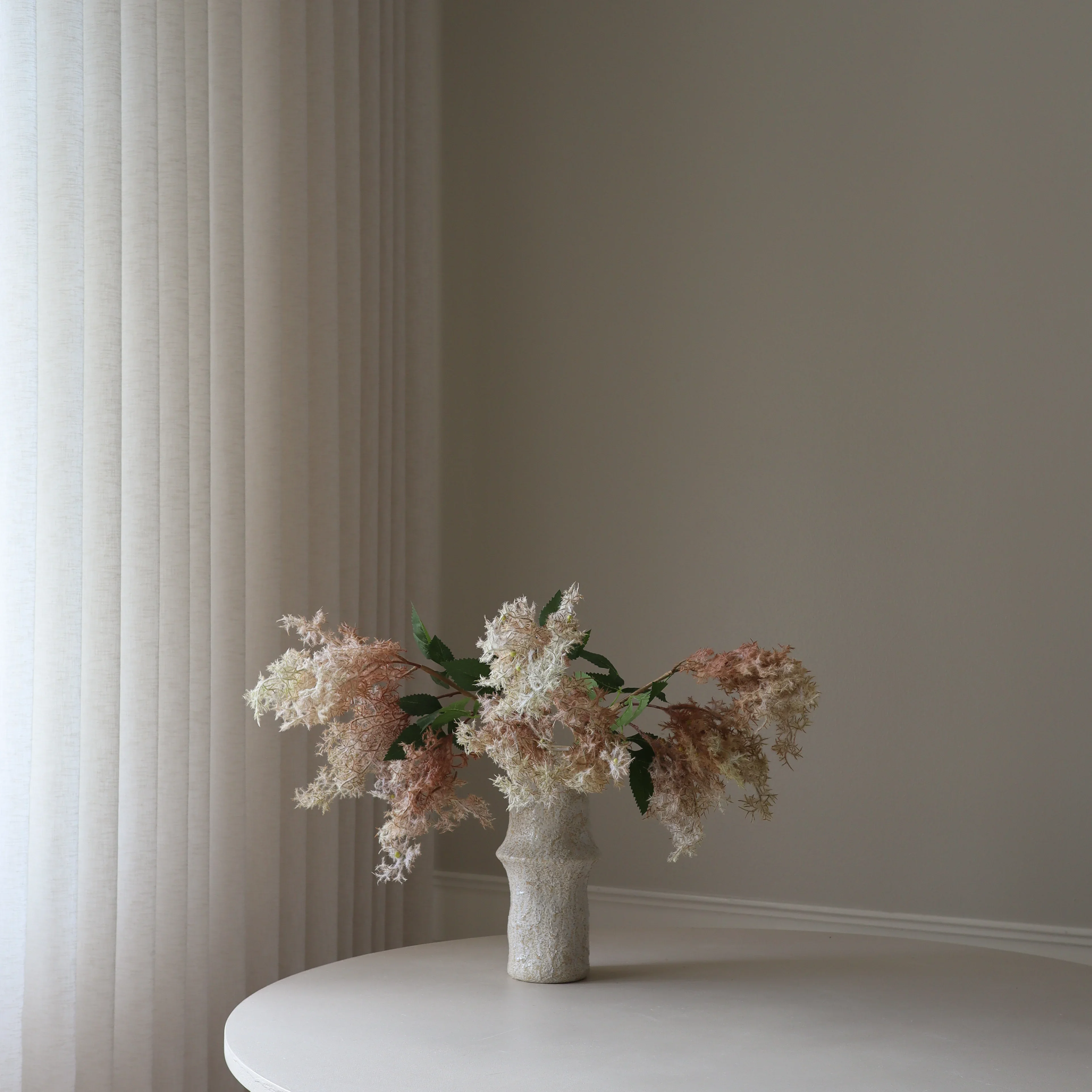 Cream Smoke Bush Flower - Image 3
