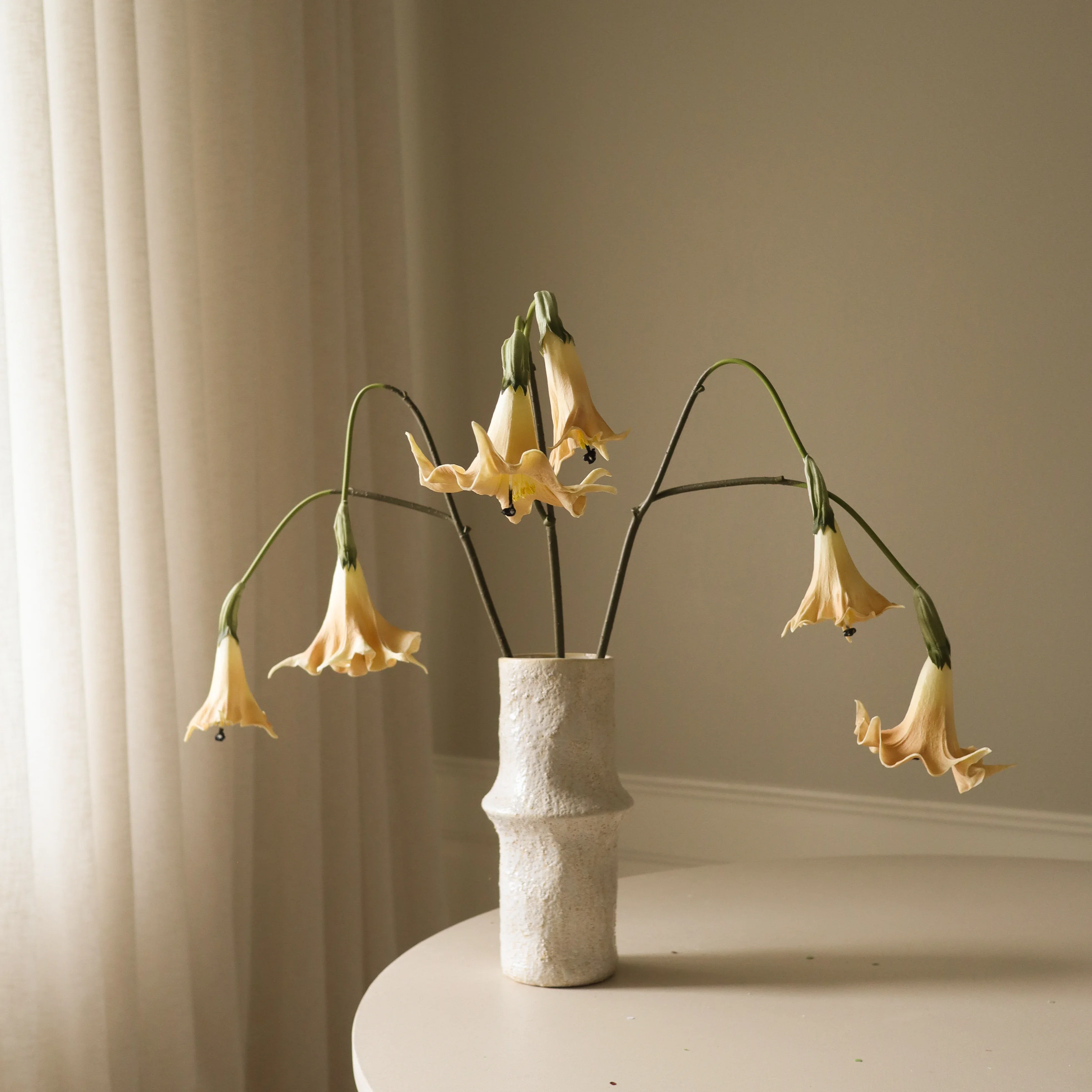 Beige Datura Stramonium Flower - Image 3