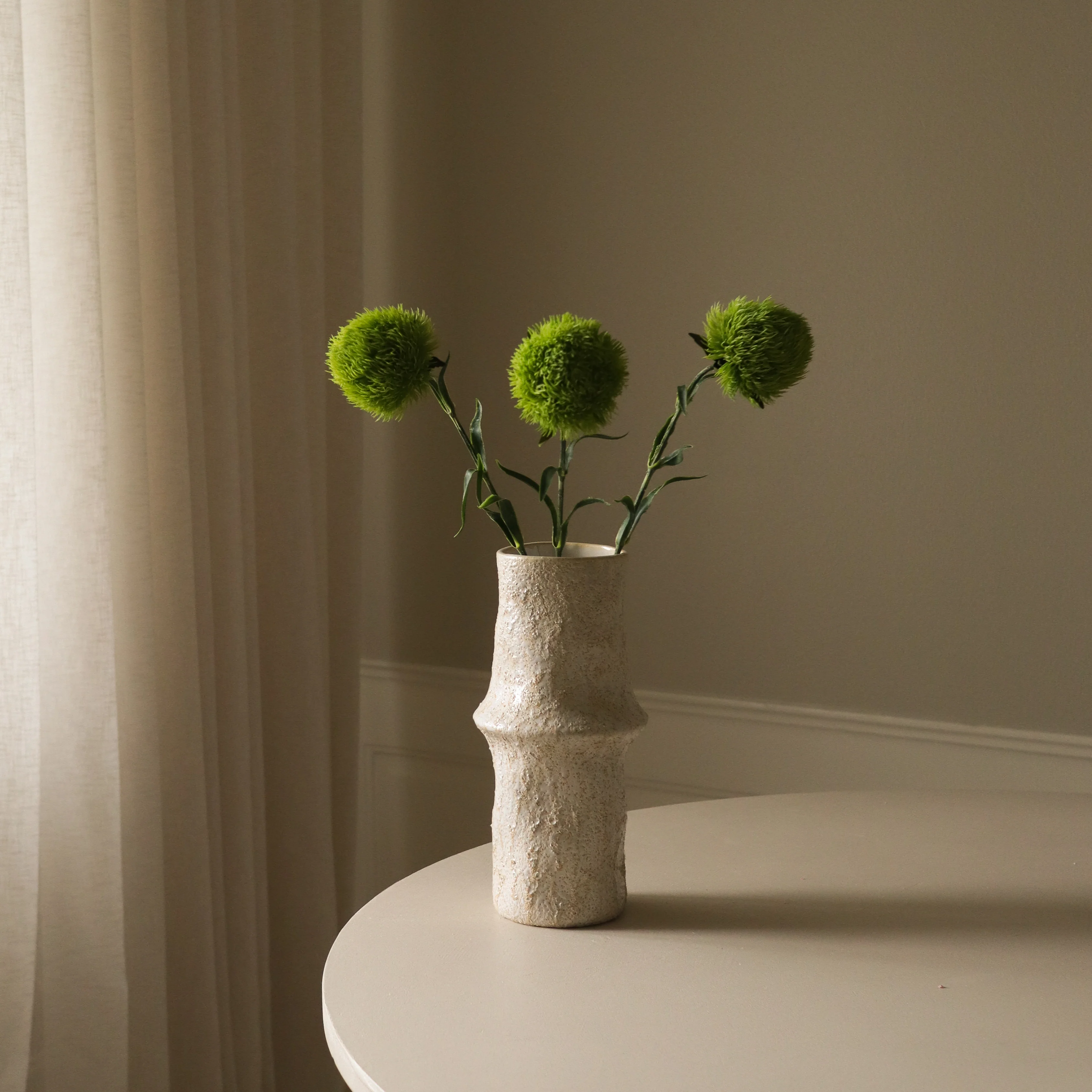 Green Dianthus Barbatus "Green Ball" - Image 3
