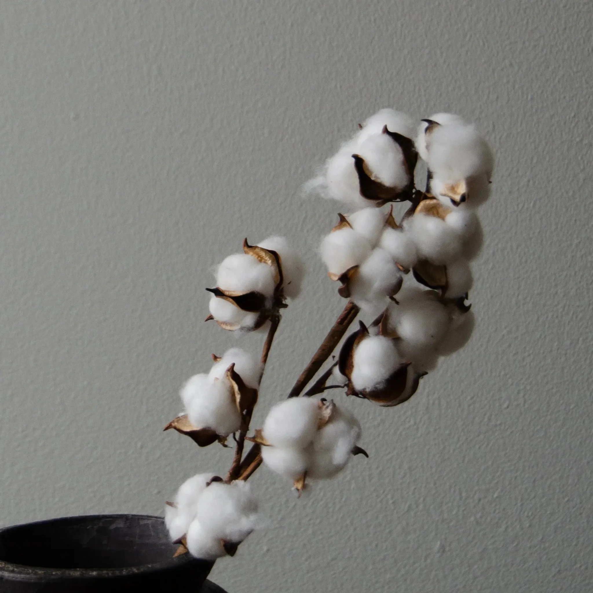 White Dried Cotton Branch - Image 2
