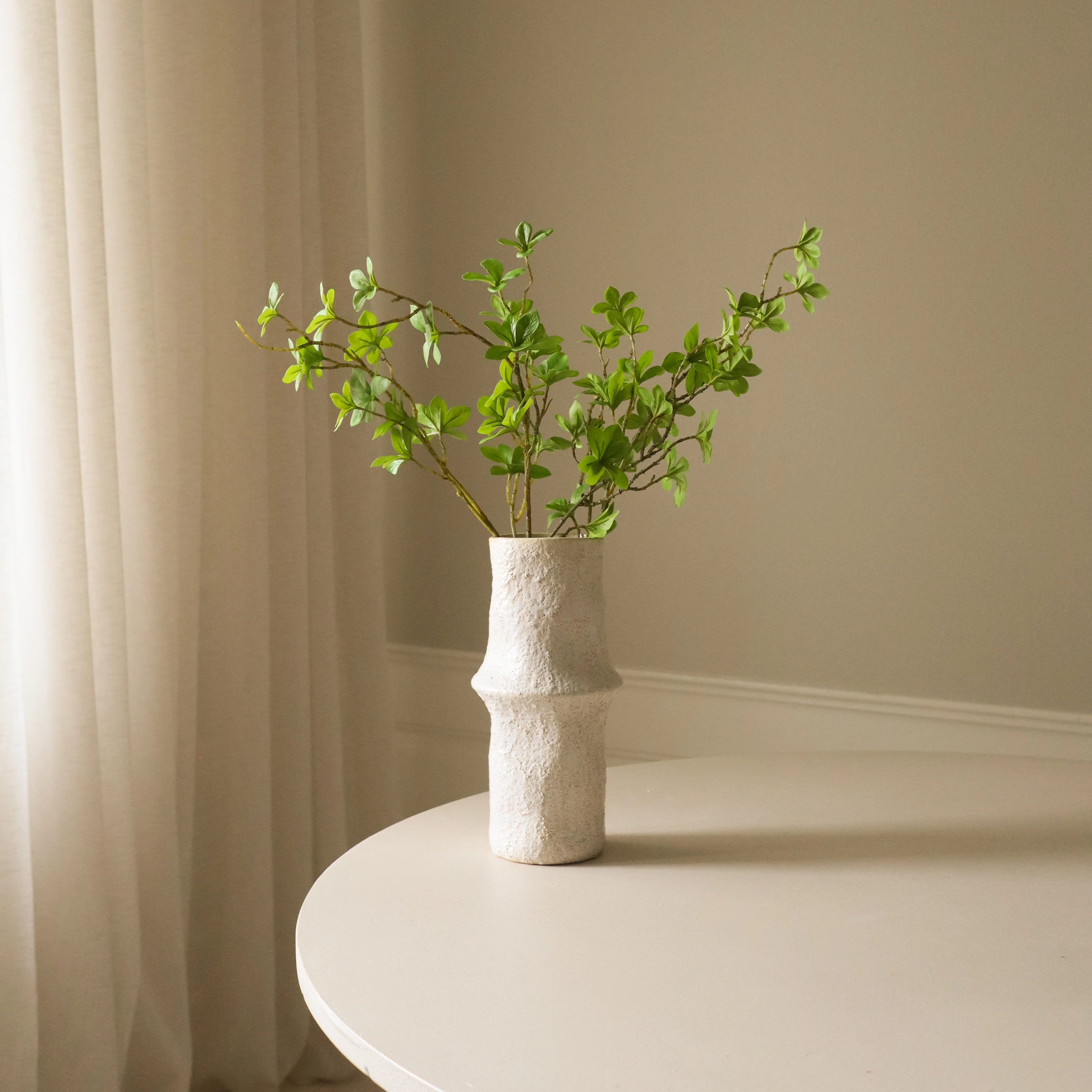Green Enkianthus Perulatus Leaves - Image 4