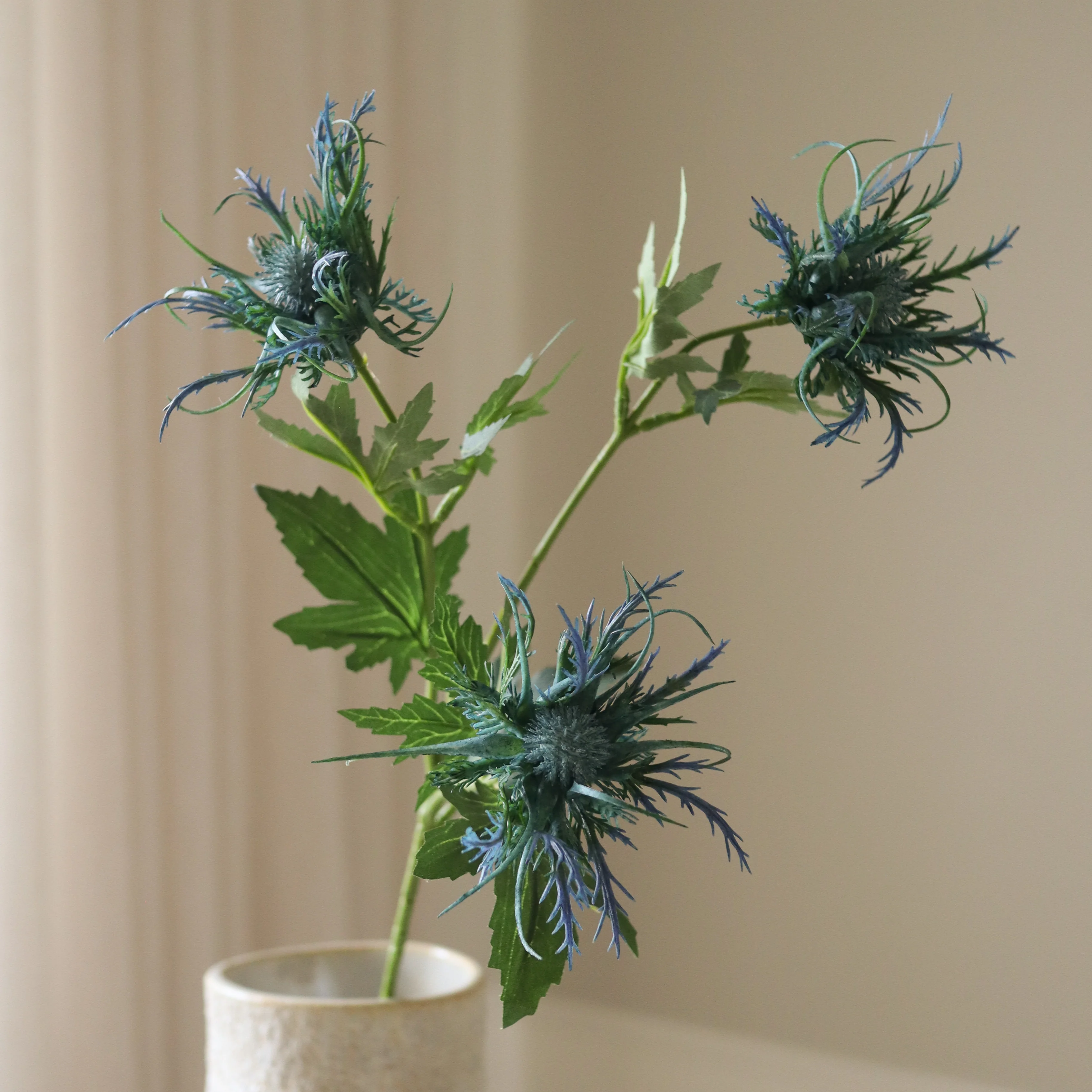 Blue Eryngo "Sea Holly" Flower - Image 3