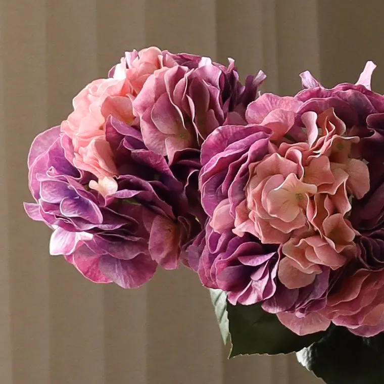 Faded Pink Hydrangea Flower - Image 3