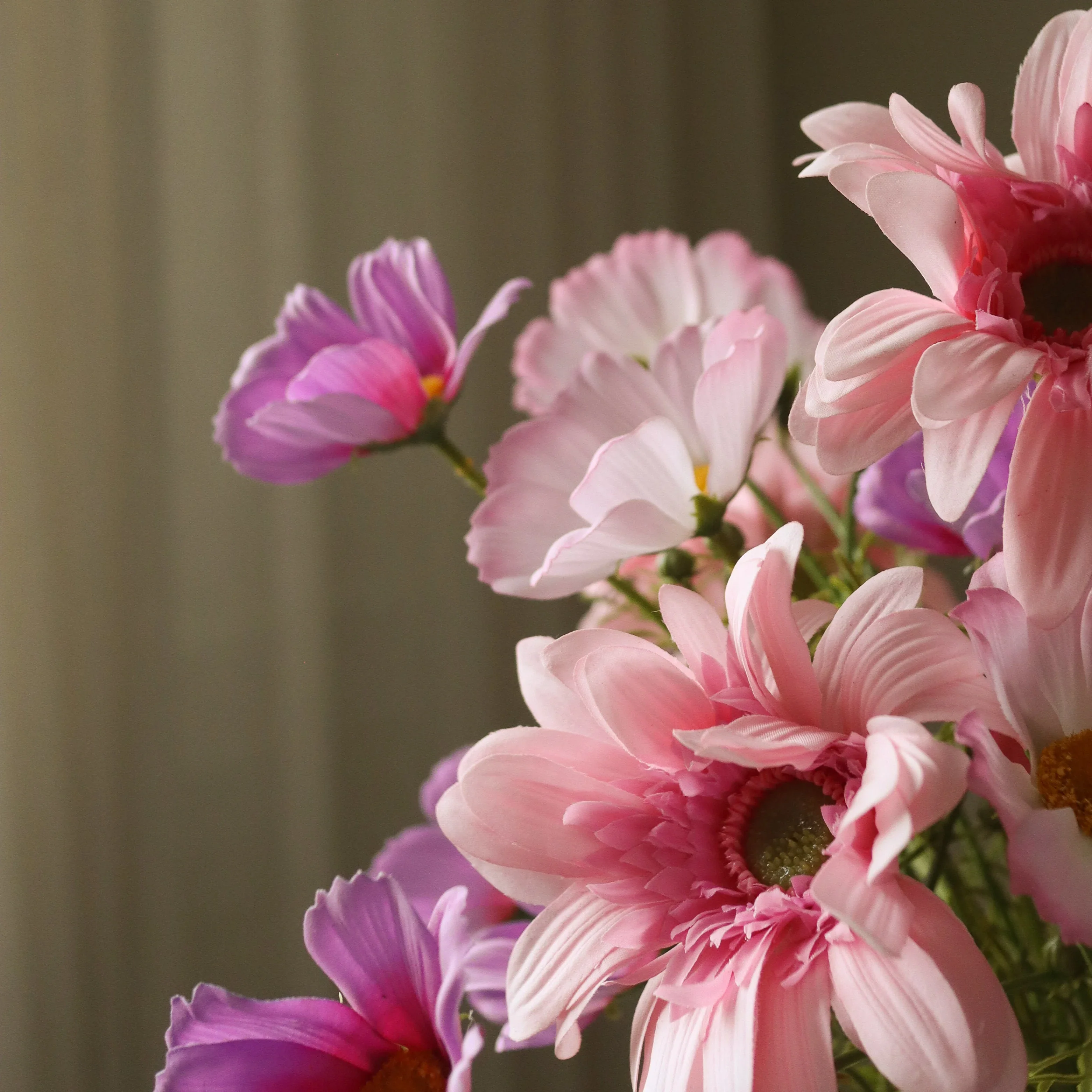 Fleur Nocturne - Image 2