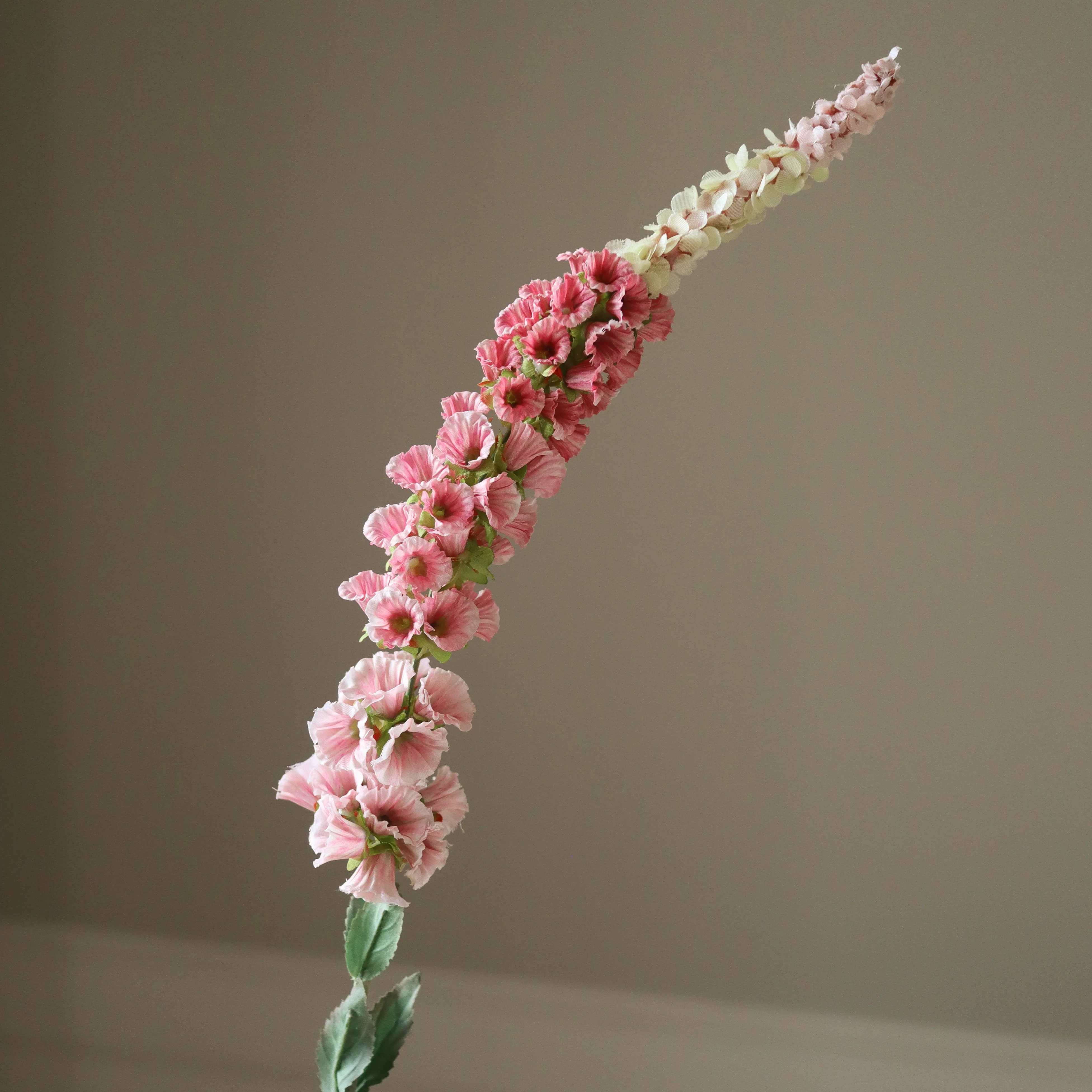 Pink Foxtail Flower - Image 2