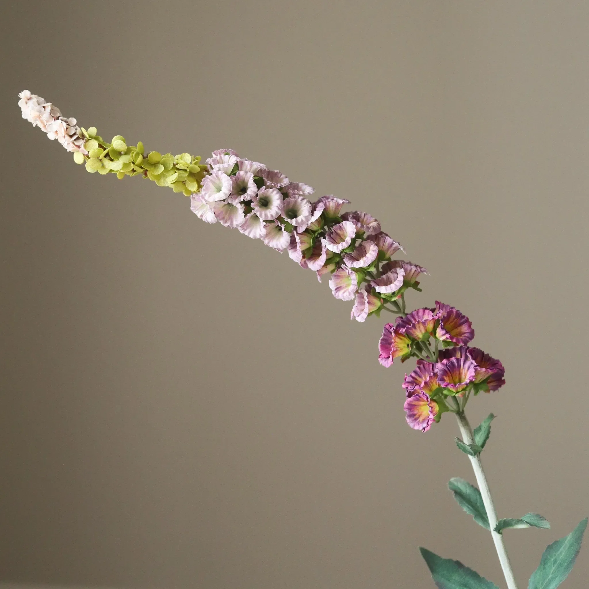 Purple Foxtail Flower - Image 3