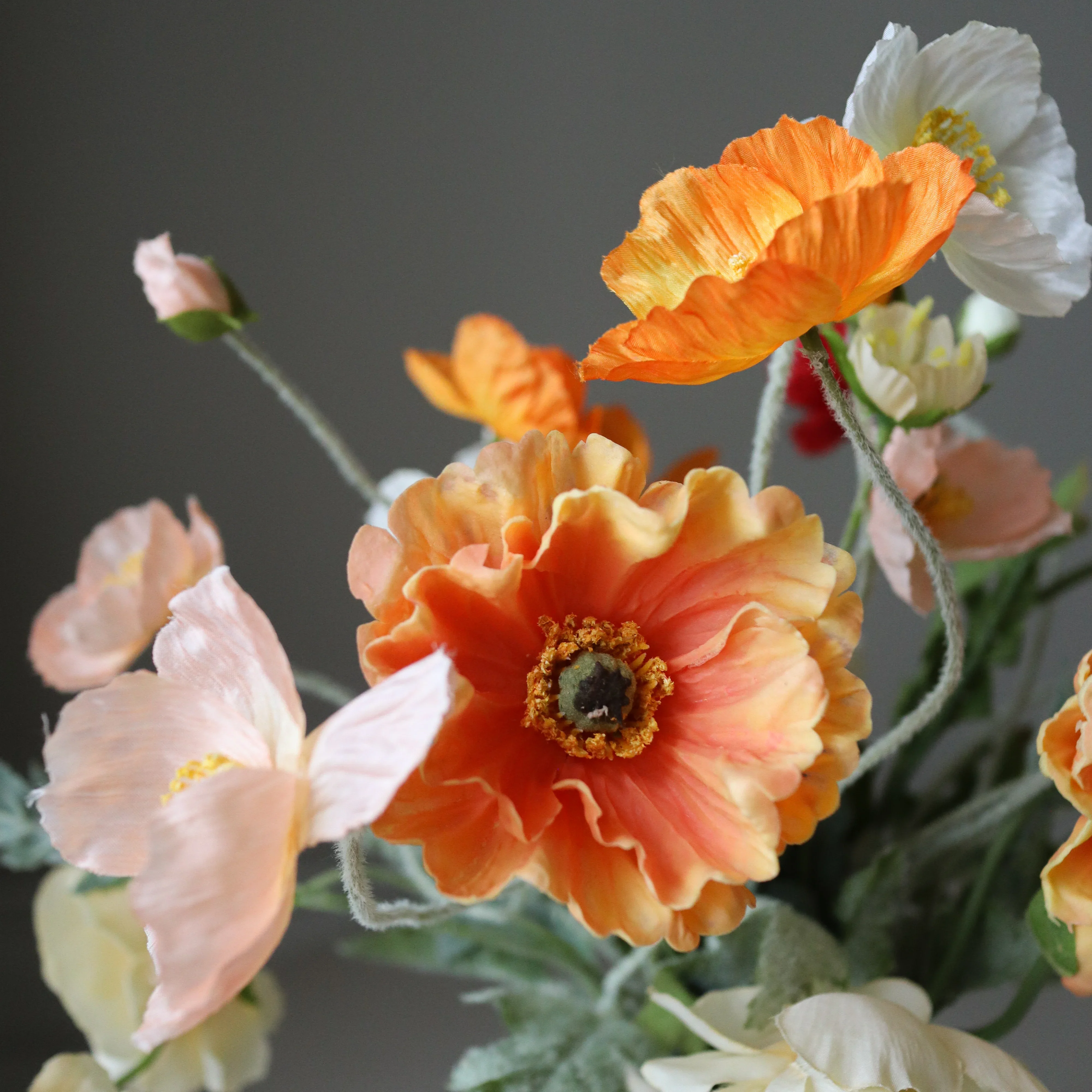 Gentle Joy - Image 3