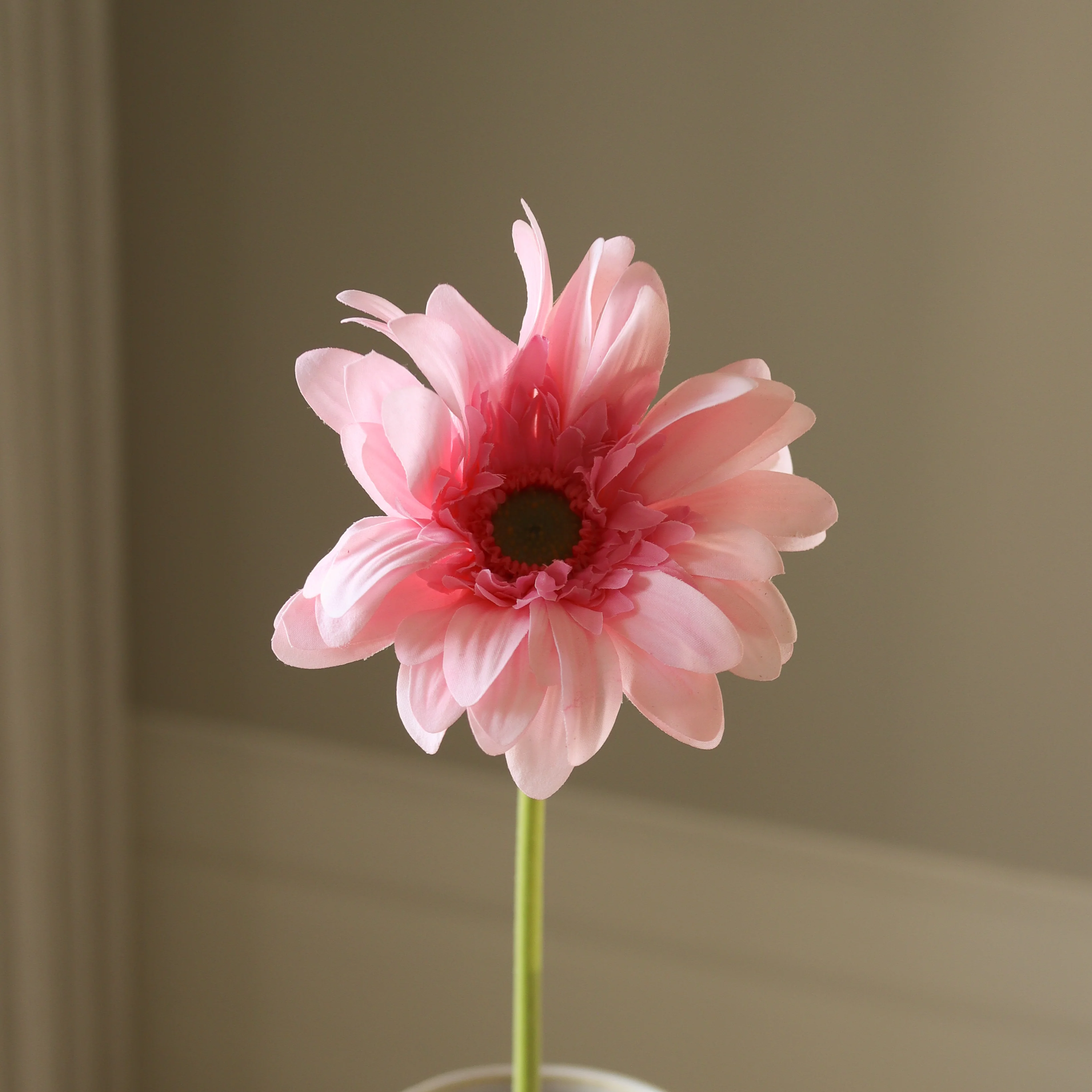 Light Pink Gerbera Daisy Flower - Image 3