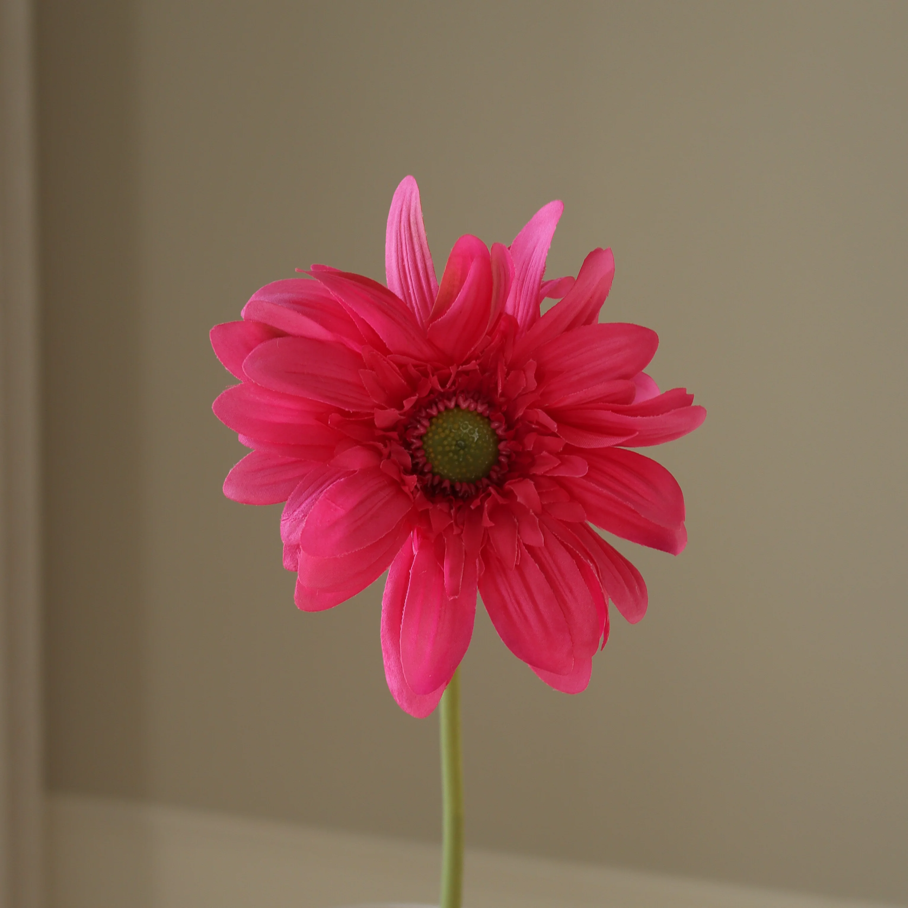 Pink Gerbera Daisy Flower - Image 2