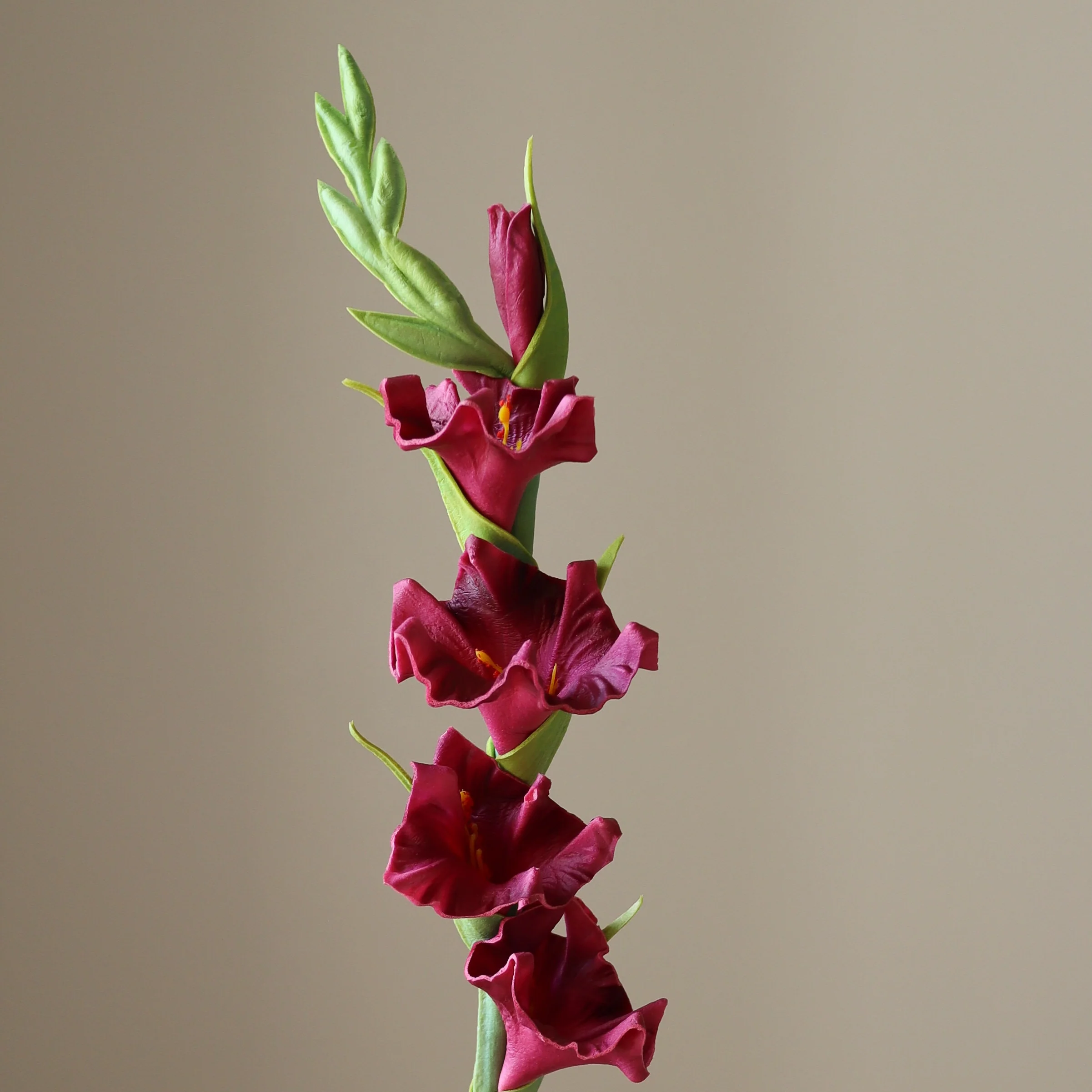 Dark Red Gladiolus Flower - Image 3