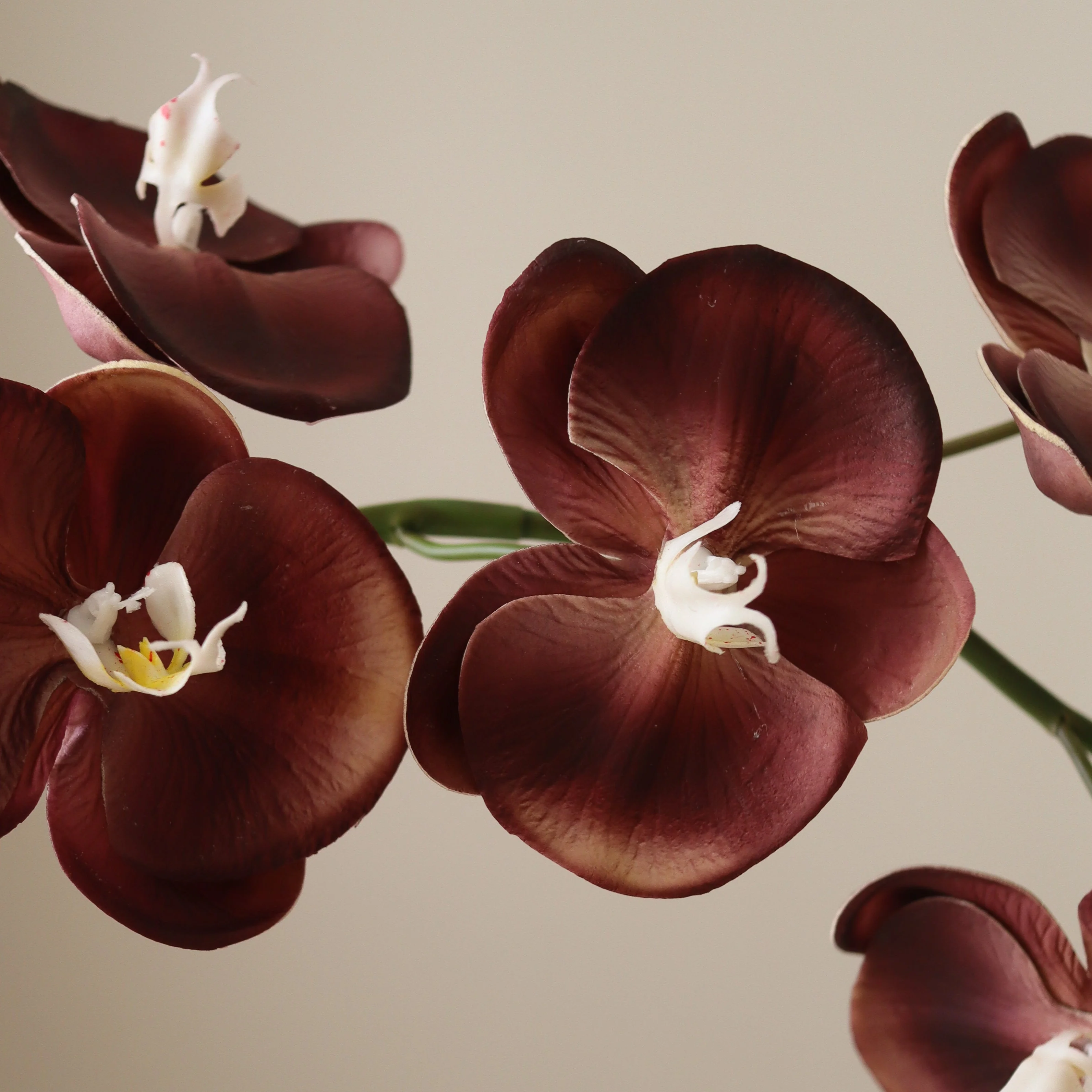 Purple Grand Orchid Flower - Image 3