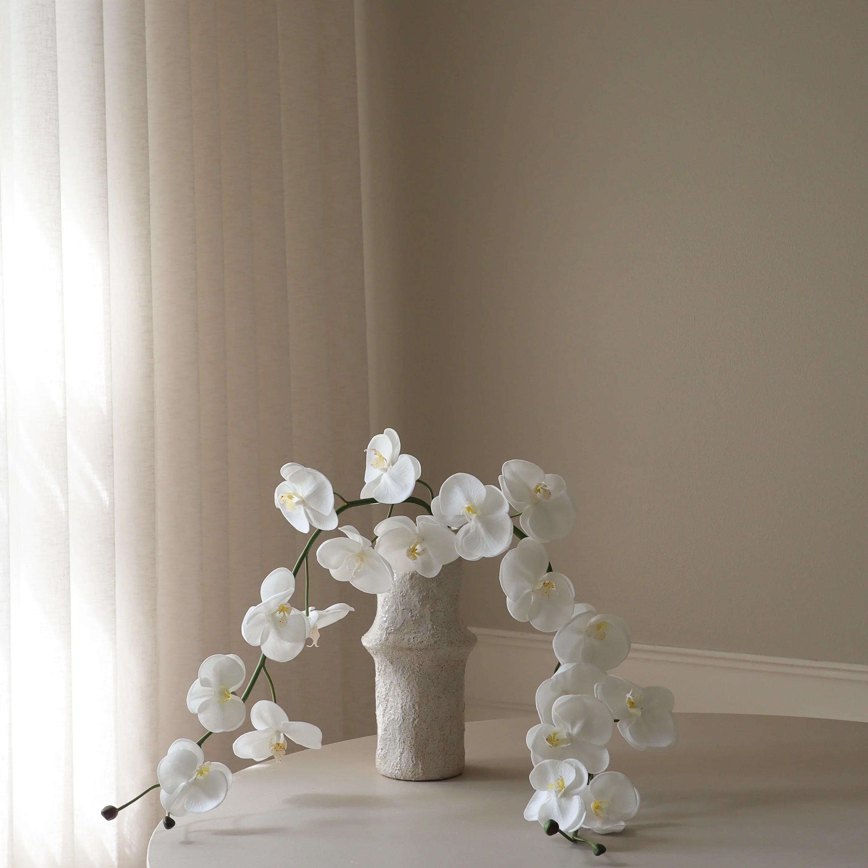 White Grand Orchid Flower - Image 4