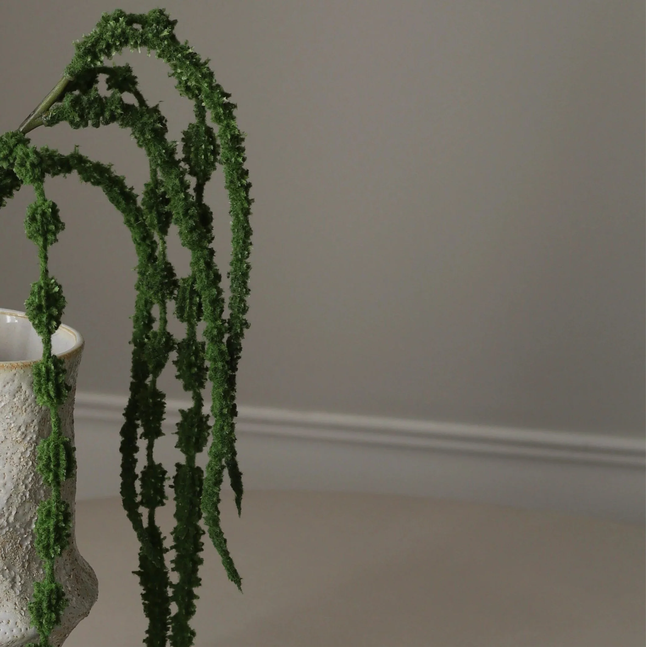 Green Amaranthus Caudatus Six Forks - Image 3