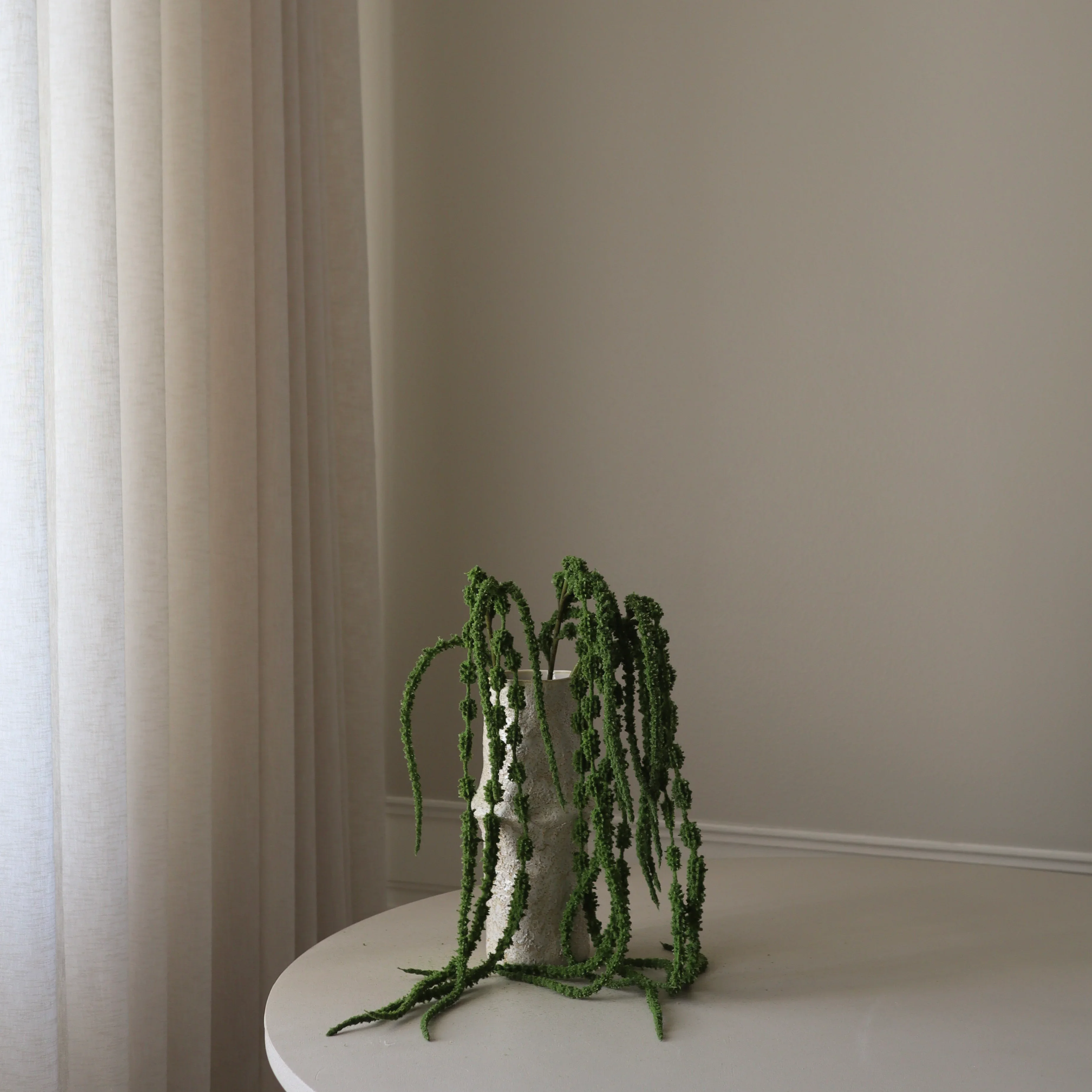 Green Amaranthus Caudatus Six Forks - Image 4