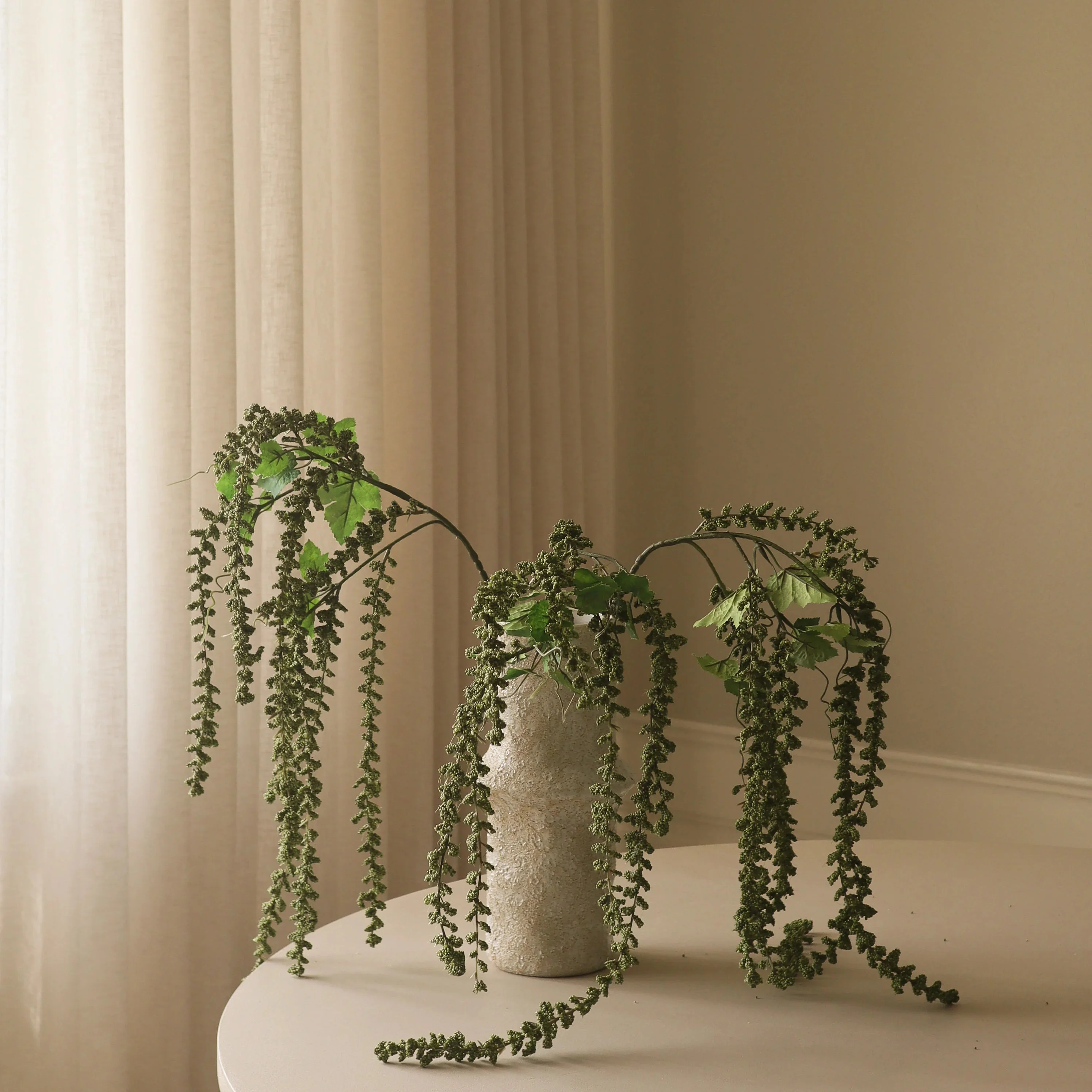 Amaranthus "Emerald Tassels" Flower - Image 4