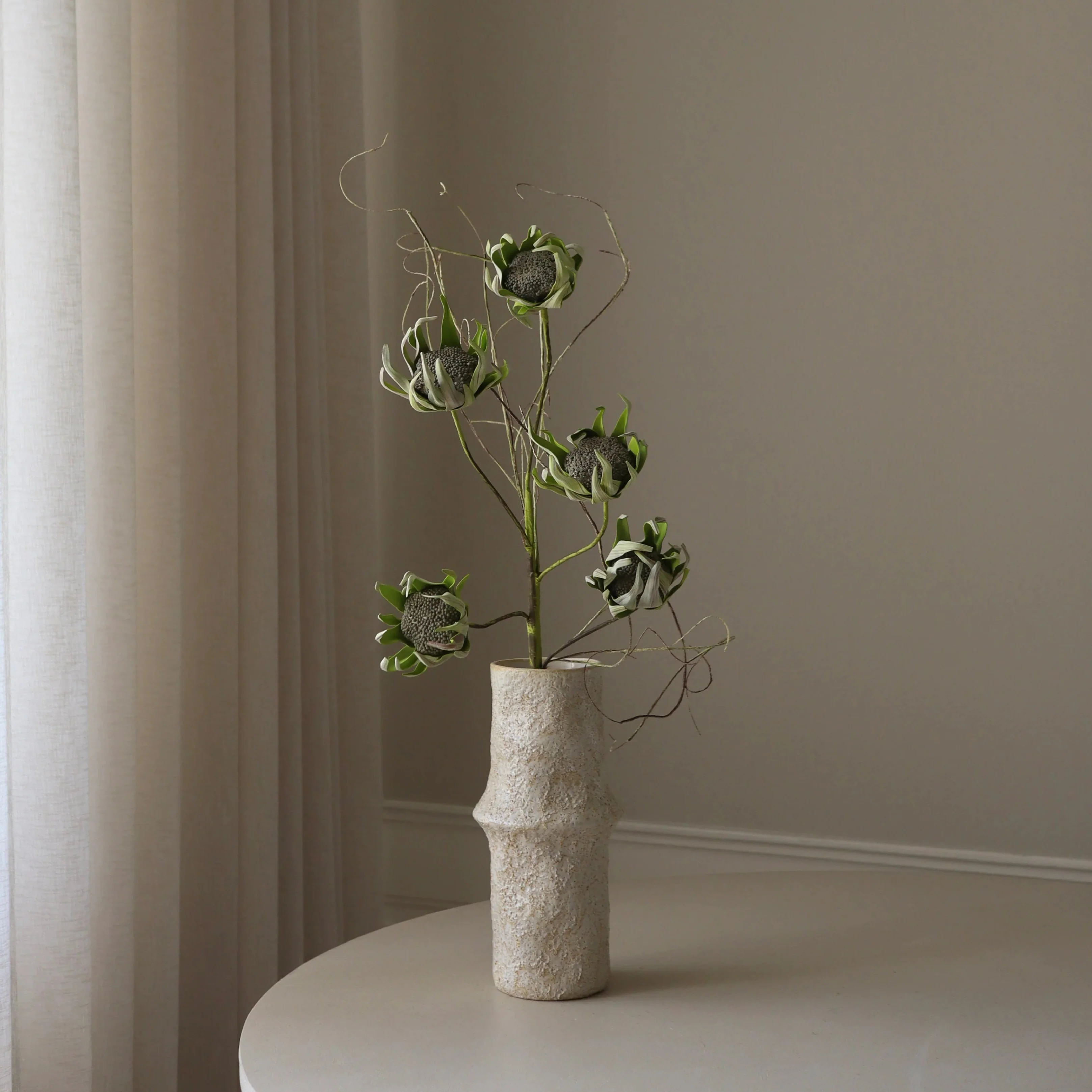 Green Five Head Dry Protea Flower
