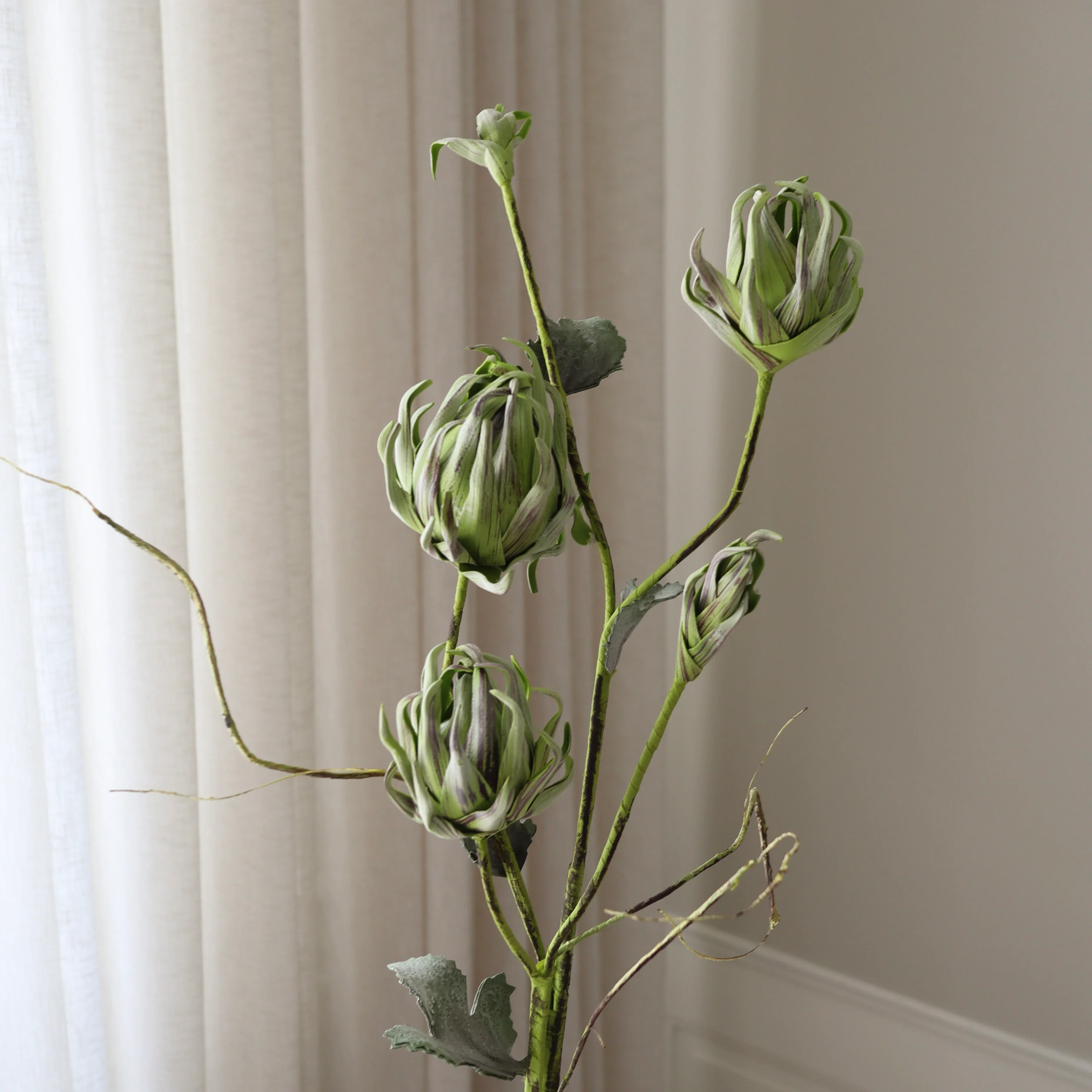 Green Three Head Dry Protea Flower - Image 3