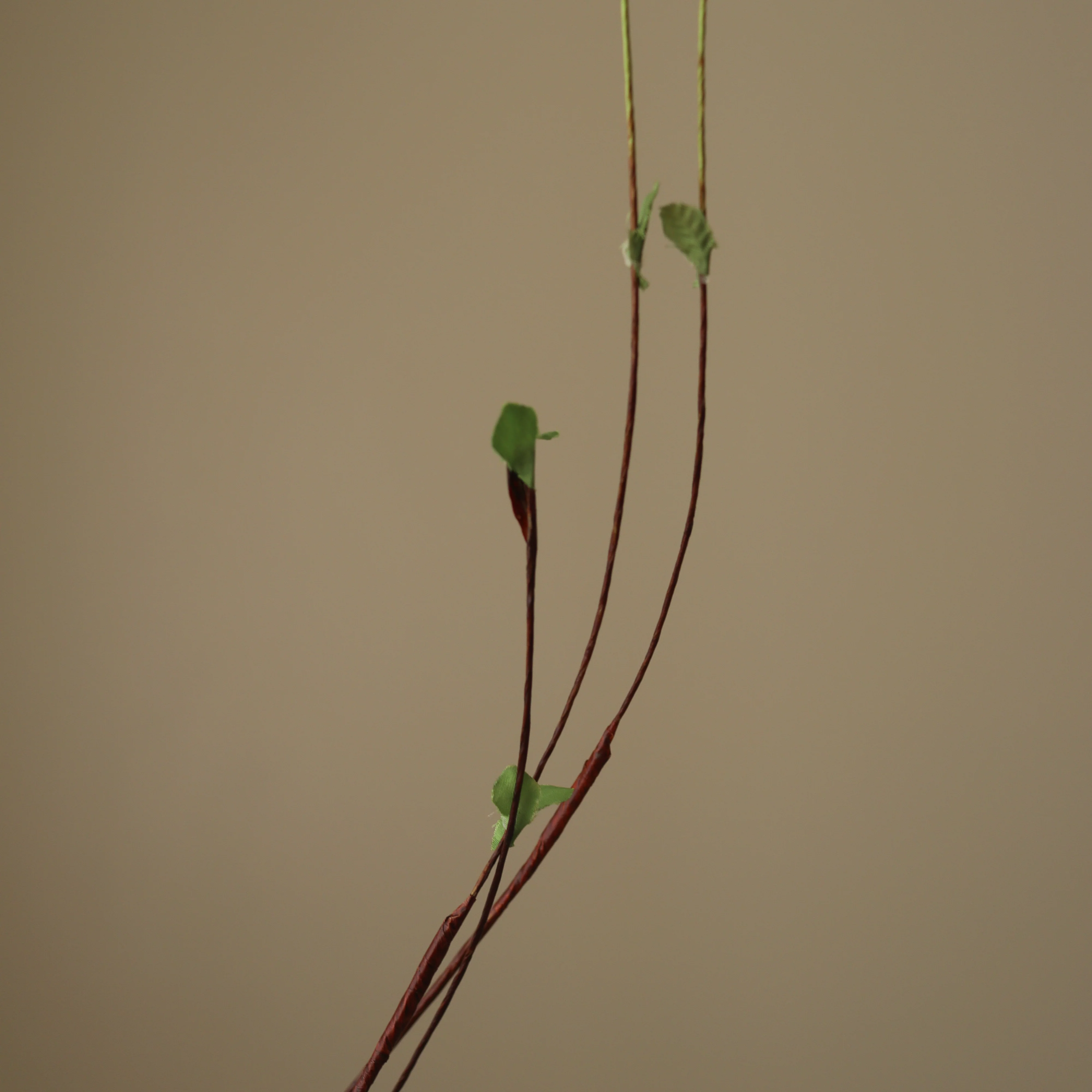 Green Hanging Willow Branch - Image 3