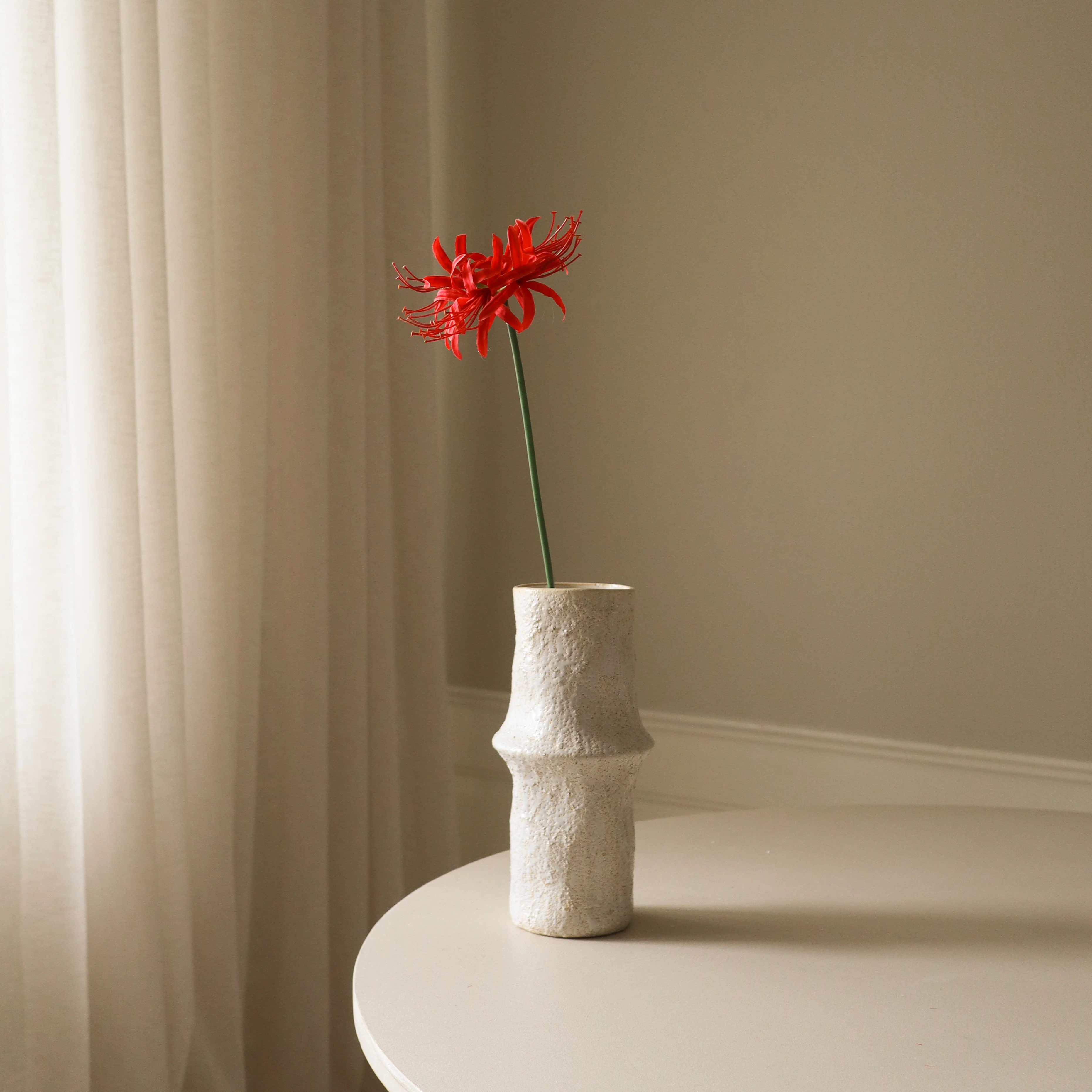 Red Higanbana "Spider Lilies" Amaryllis Flower